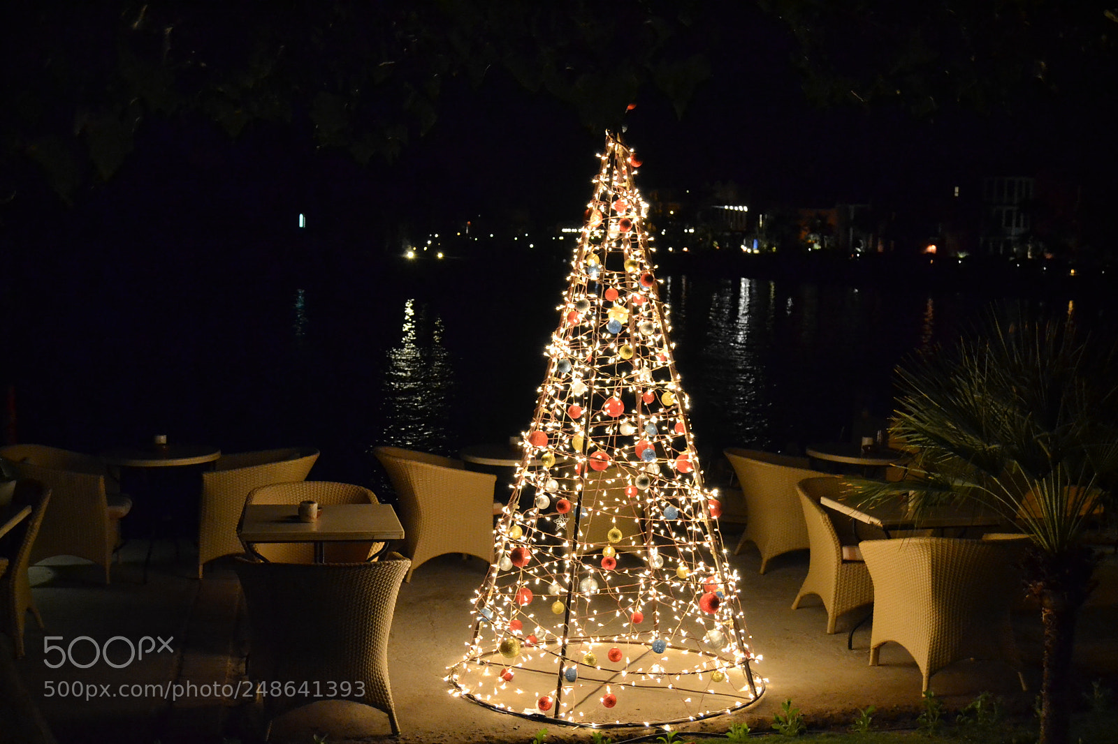 Nikon D3100 sample photo. Christmas tree photography