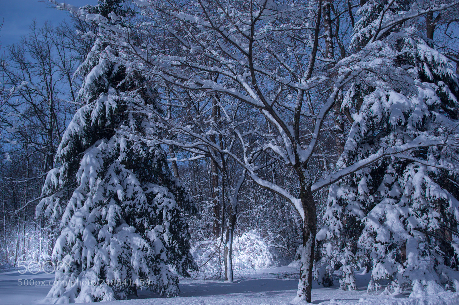 Pentax K-3 II sample photo. Heavy snowfall photography
