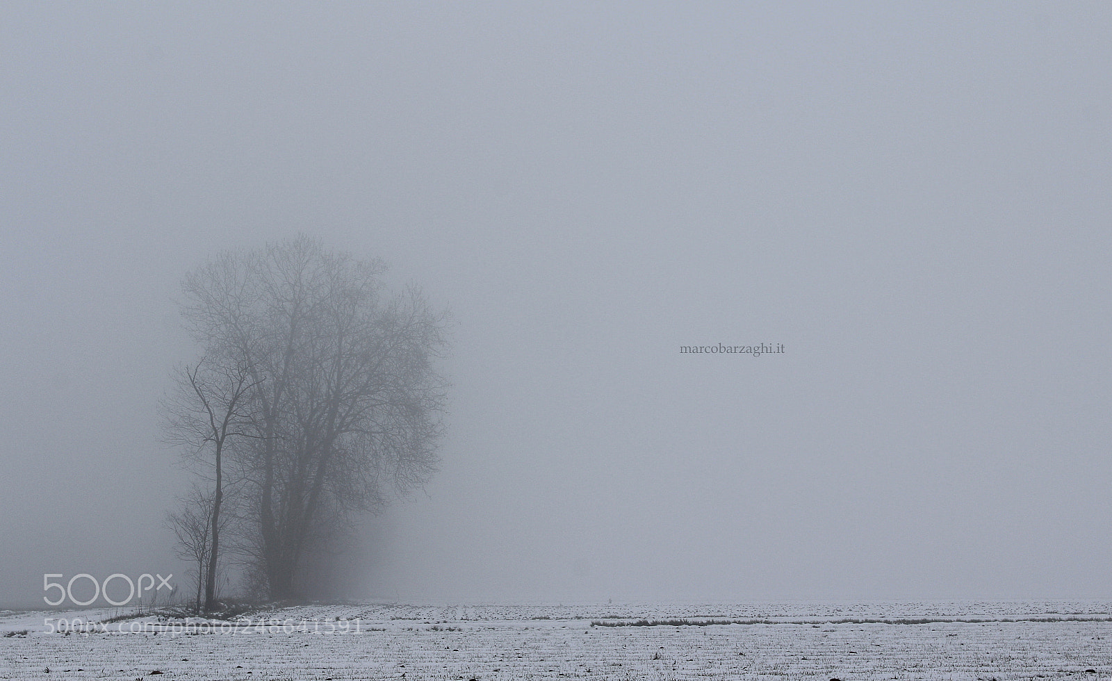 Canon EOS 600D (Rebel EOS T3i / EOS Kiss X5) sample photo. Winter in the countryside photography