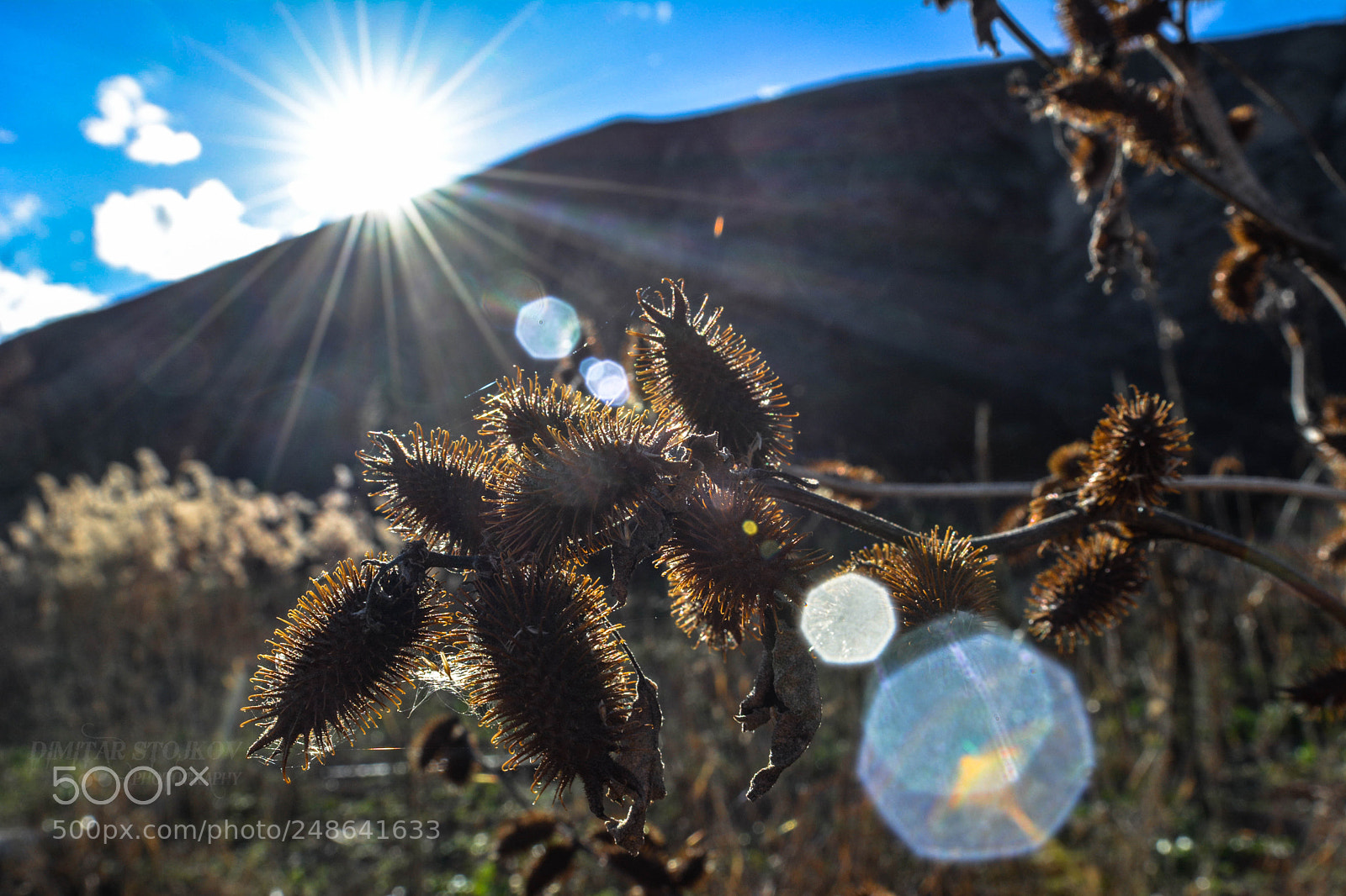 Nikon D5200 sample photo. My nature photography