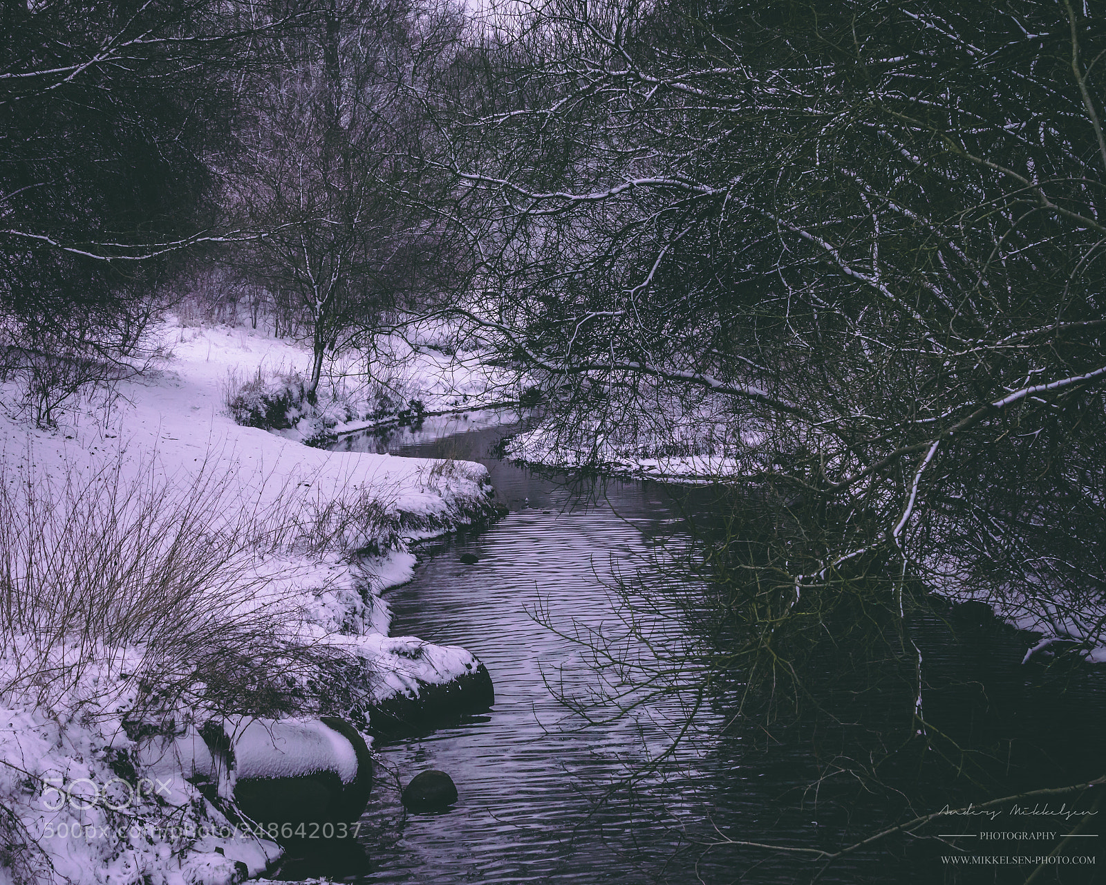 Nikon D610 sample photo. Winding in snow photography