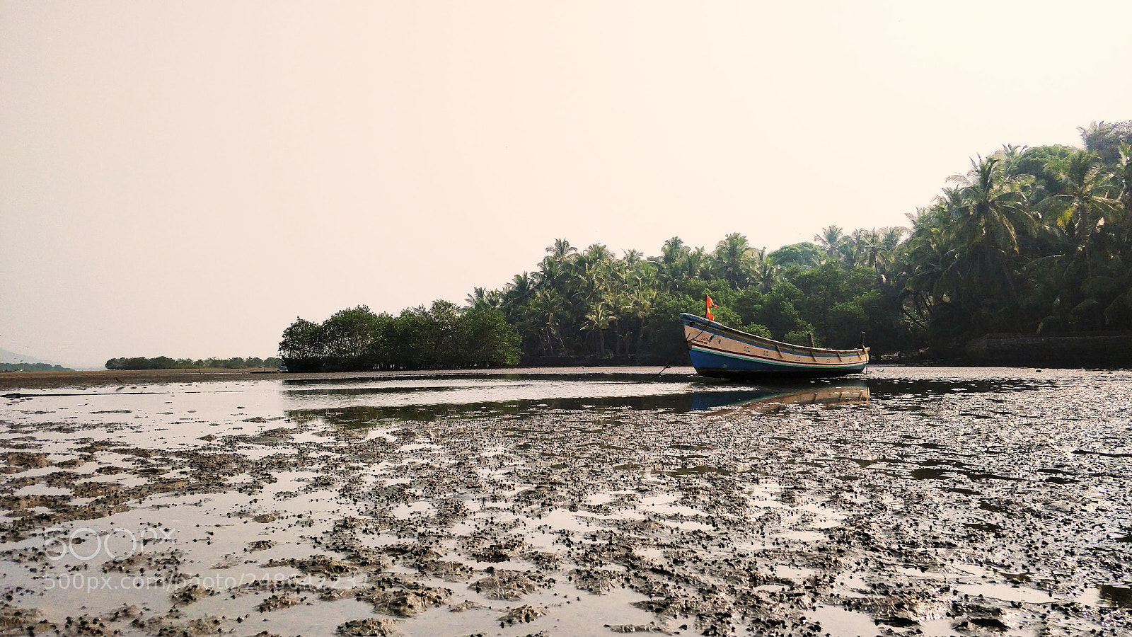 OnePlus 5 sample photo. Tropical bliss photography