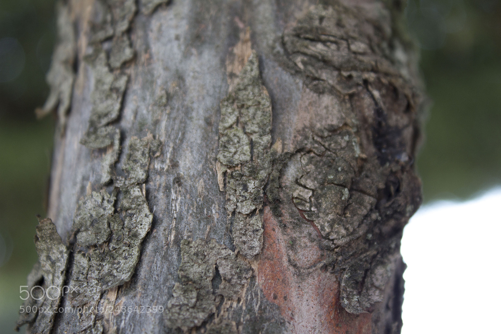 Canon EOS 1200D (EOS Rebel T5 / EOS Kiss X70 / EOS Hi) sample photo. Vive tu momento photography