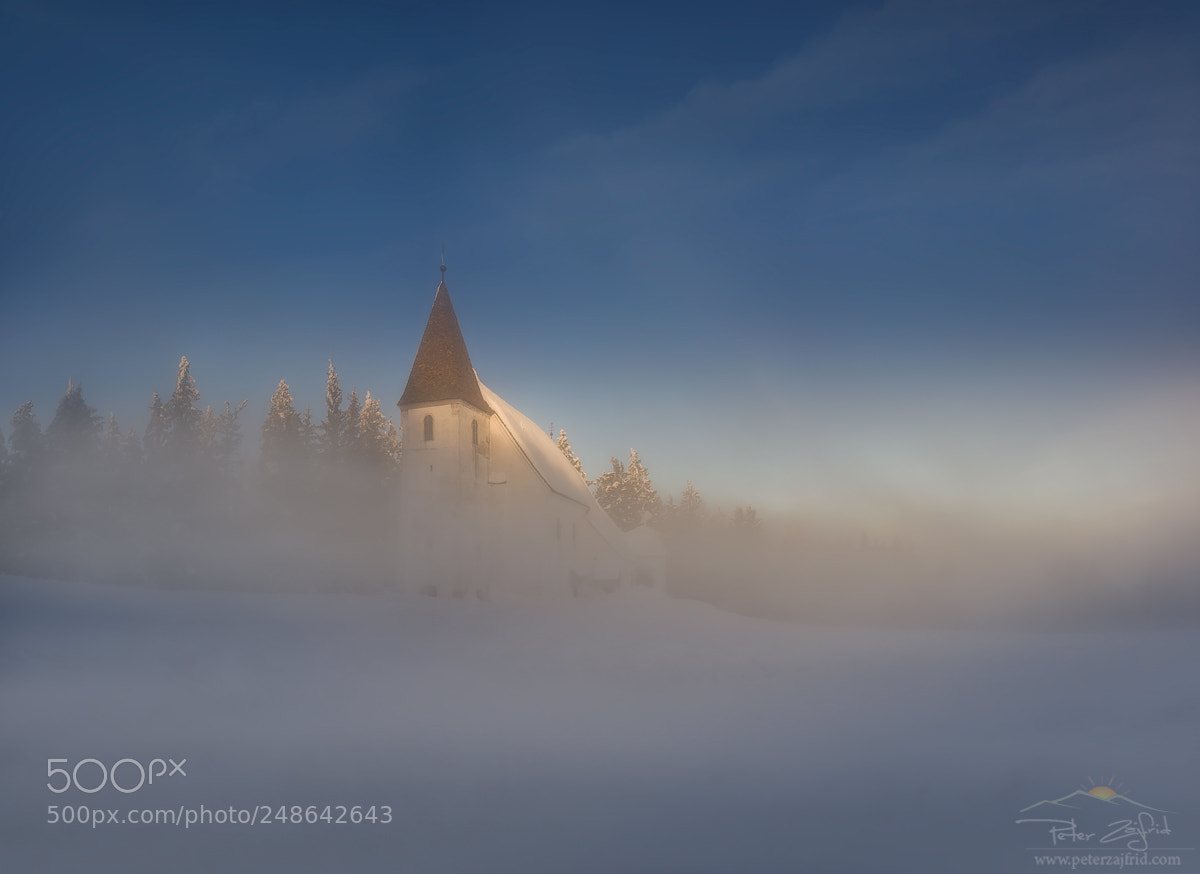 Nikon D810 sample photo. Inside the fog photography