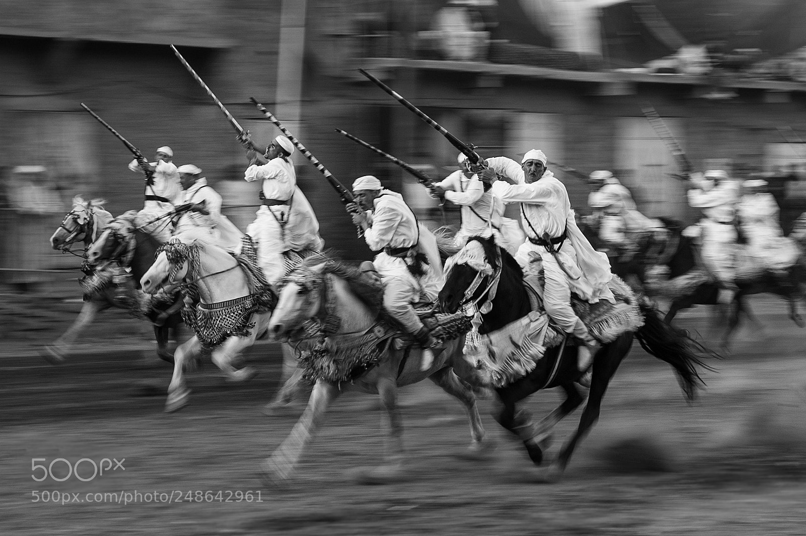 Nikon D700 sample photo. Horses in motion photography