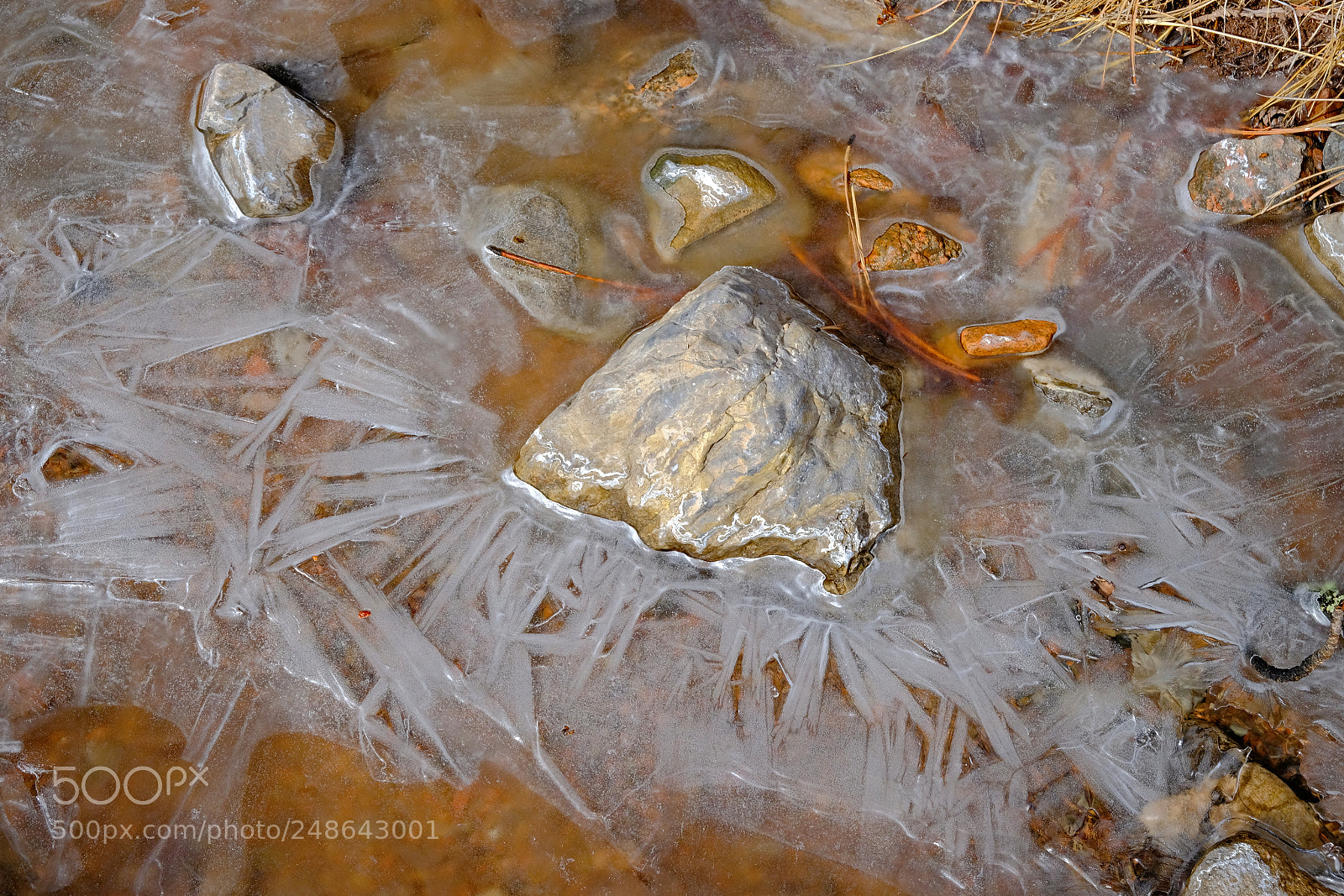 Fujifilm X-T2 sample photo. Ice crystals photography