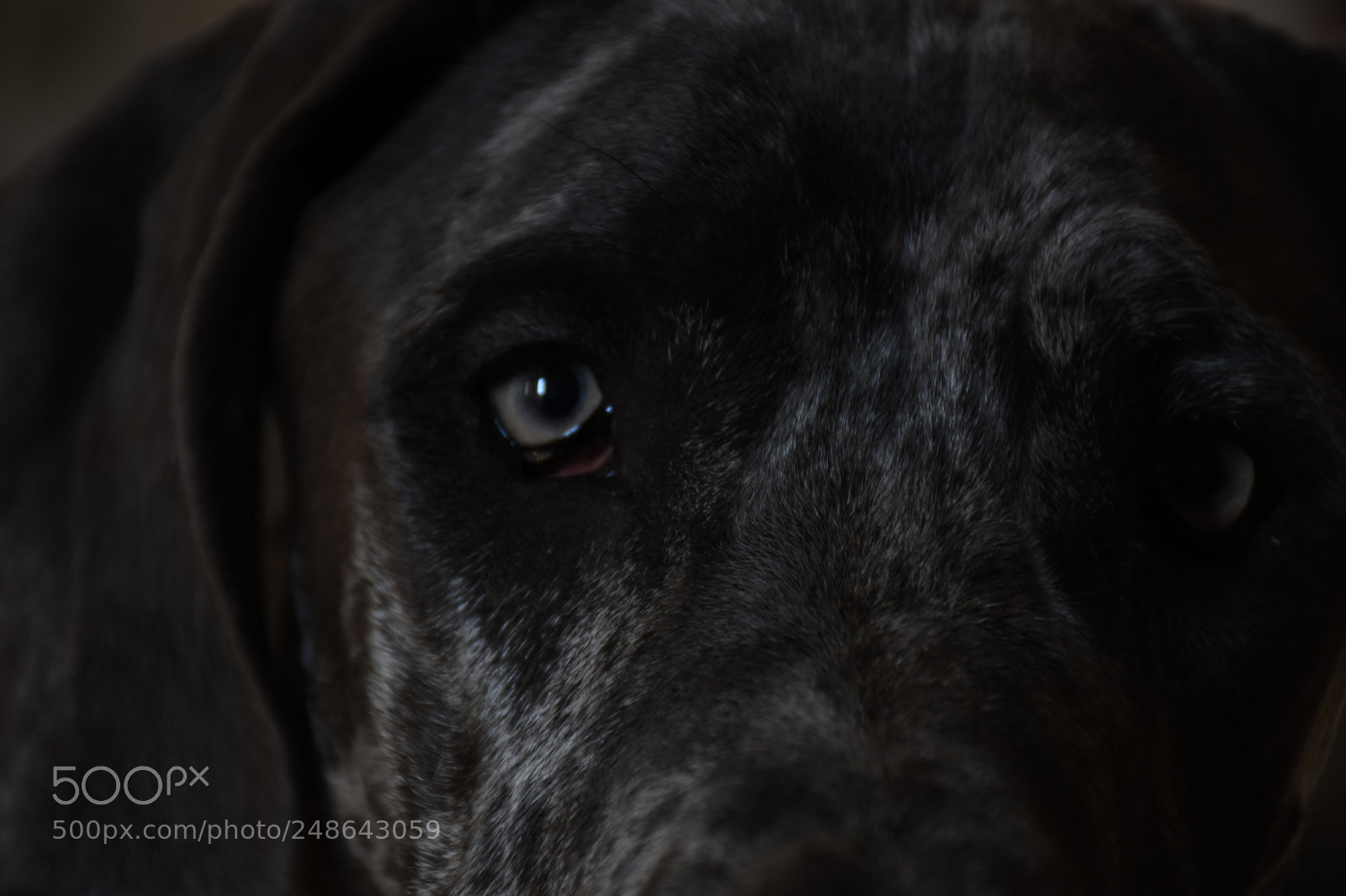 Nikon D7200 sample photo. Untitled photography