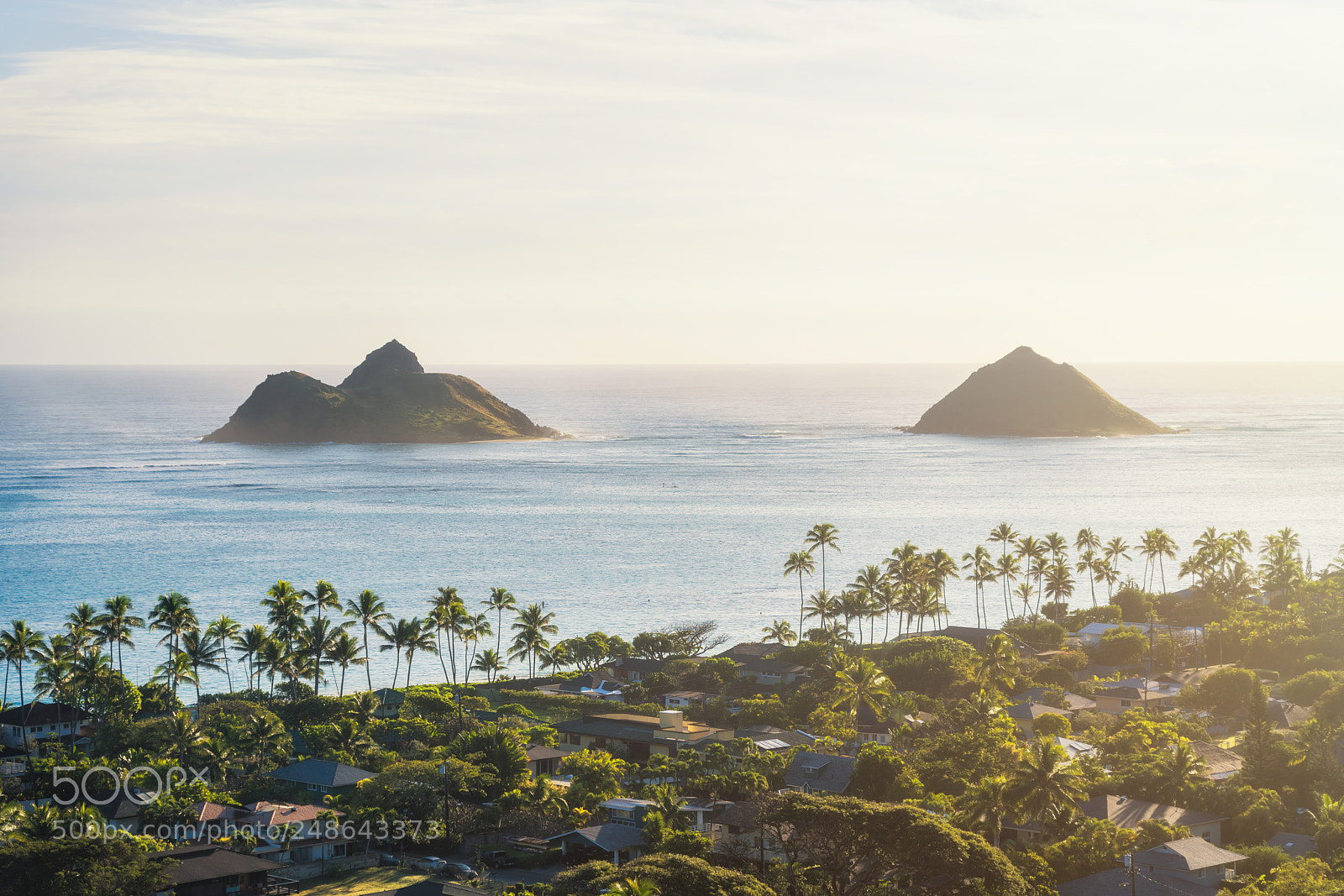 Sony a7R III sample photo. The mokes photography