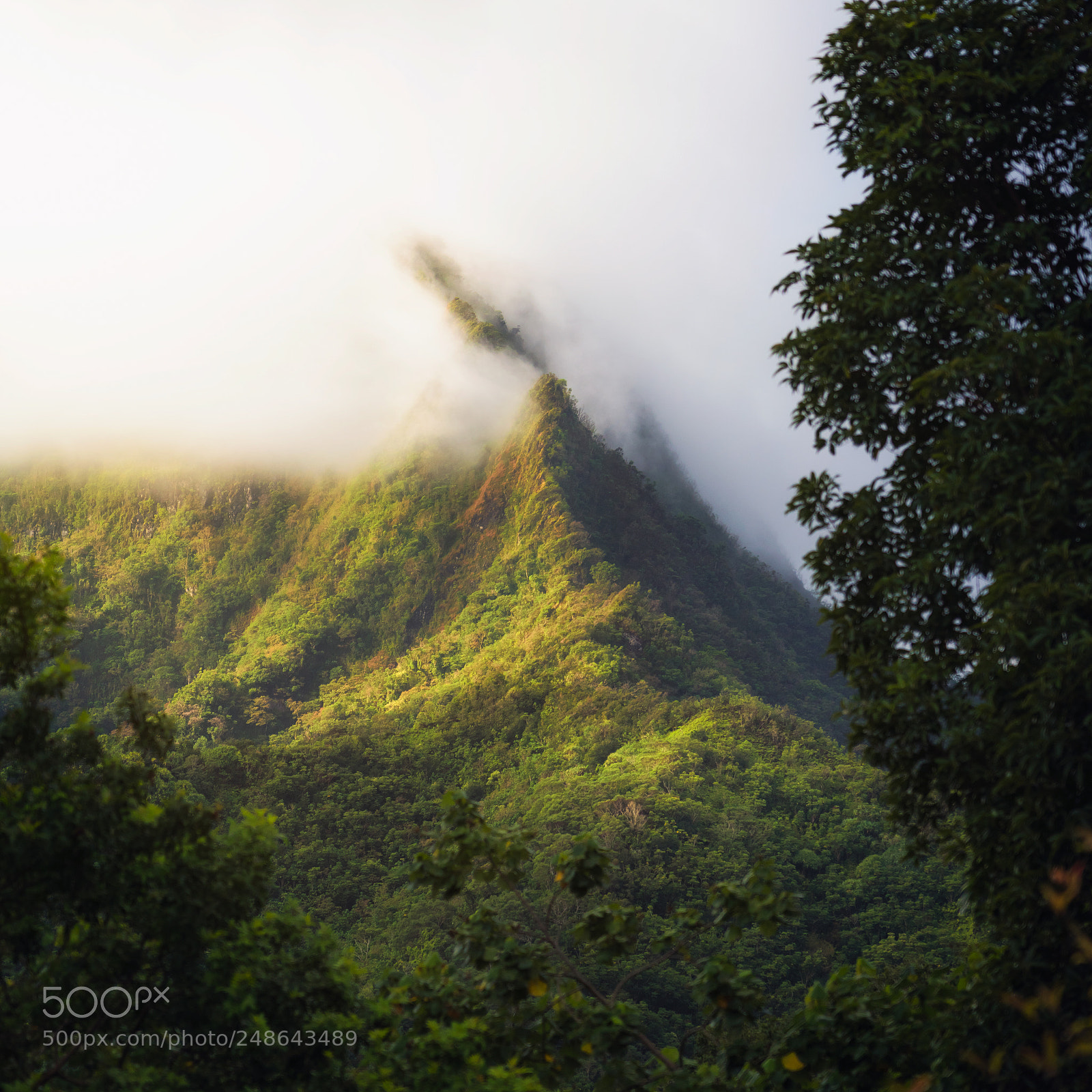 Sony a7R III sample photo. See the mountain photography