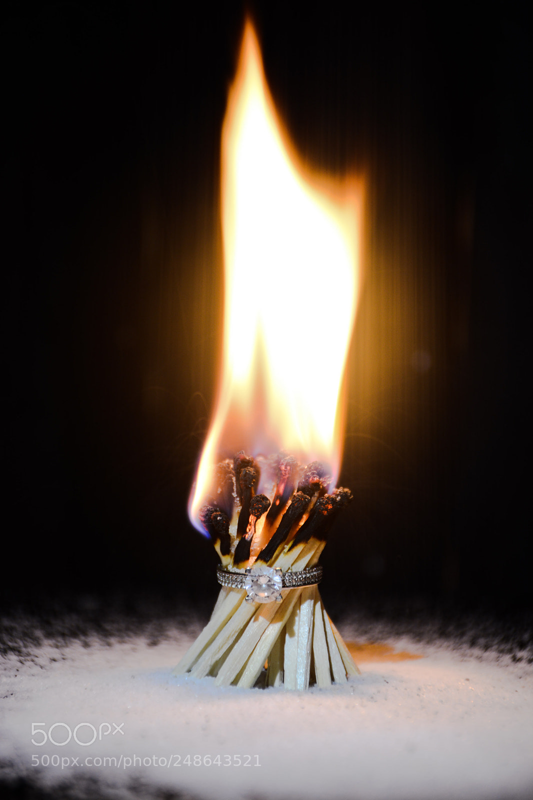 Nikon D7100 sample photo. Untitled photography