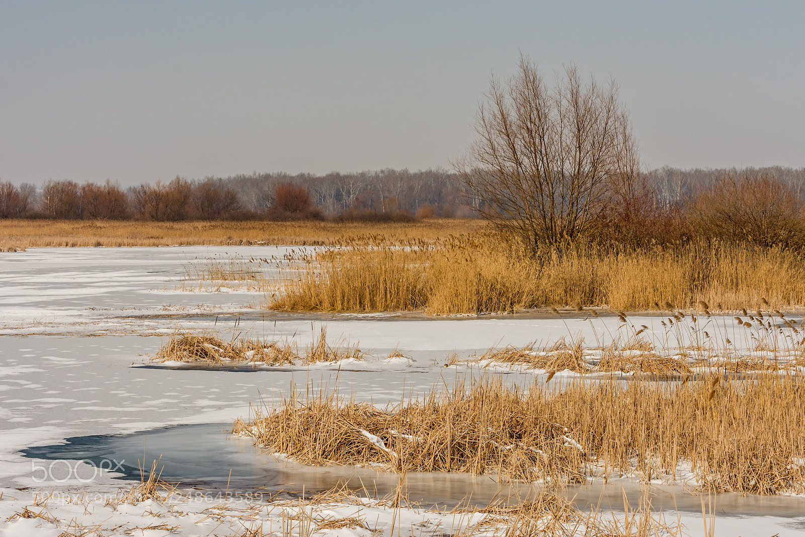 Nikon D7200 sample photo. Winter story iii photography