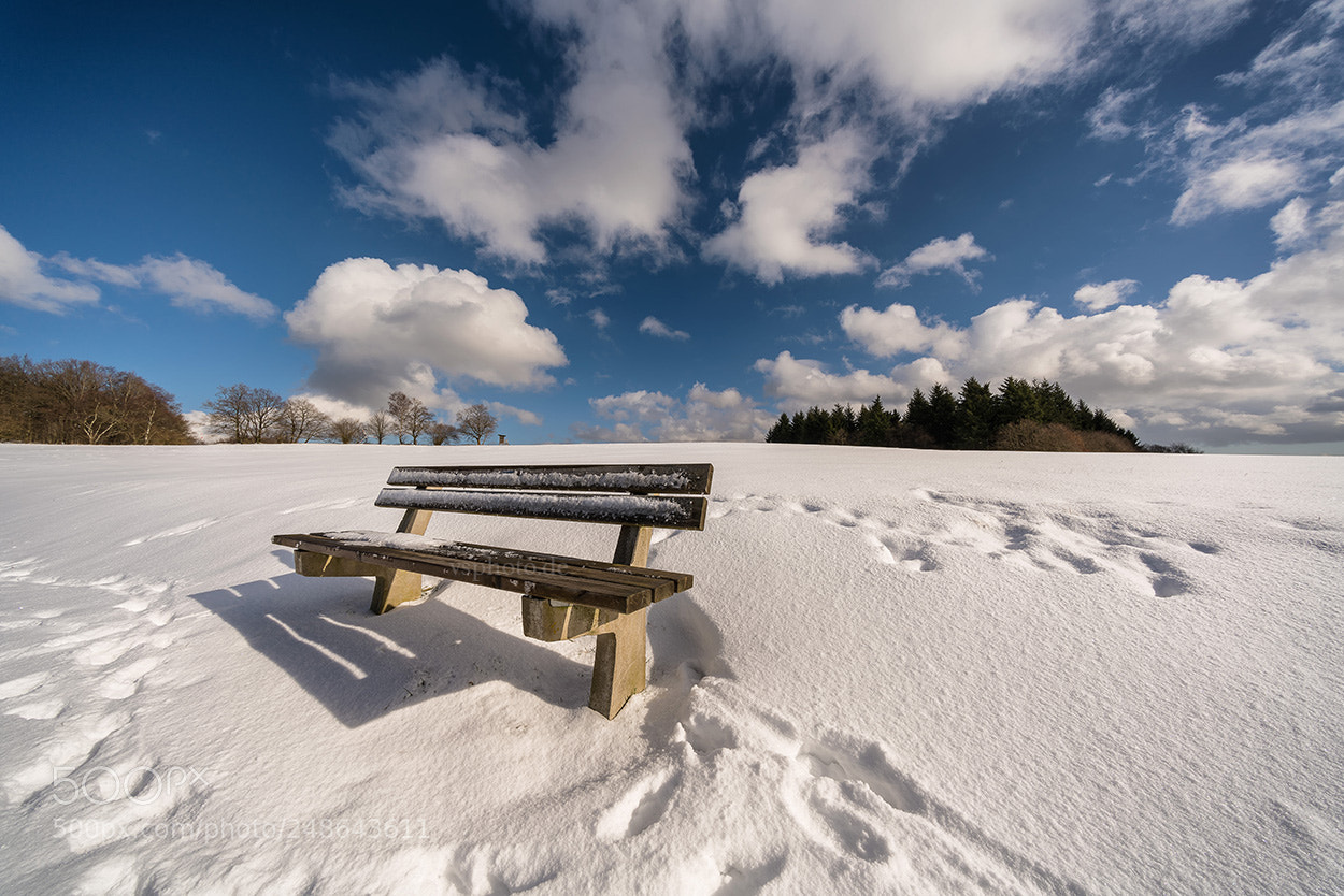 Sony a7R III sample photo. Bank im schnee photography