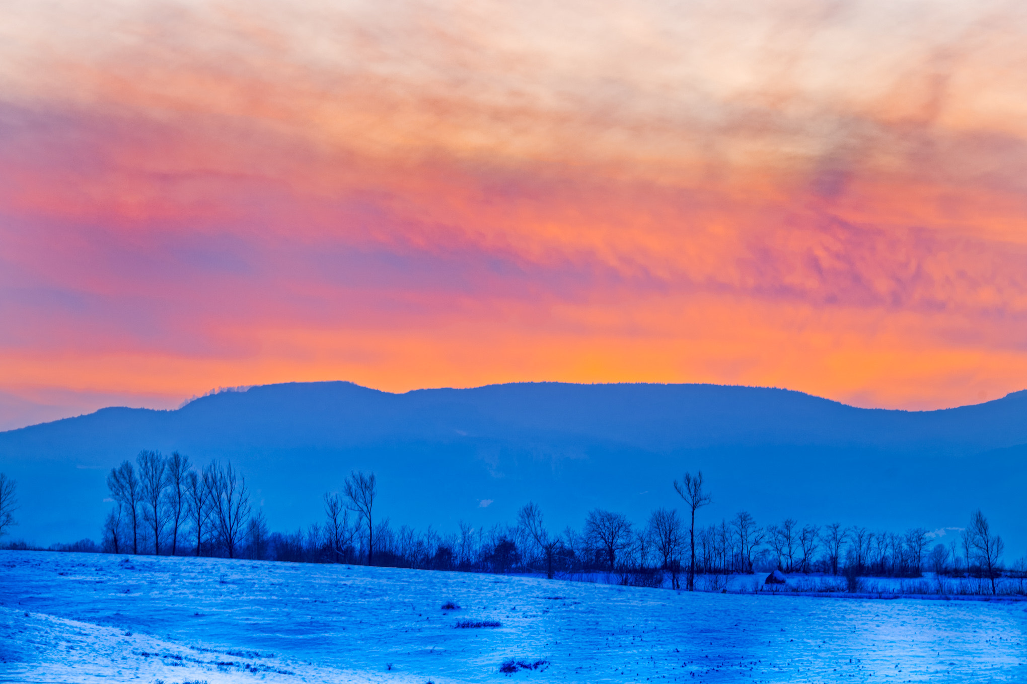 Nikon D850 sample photo. March snowland photography