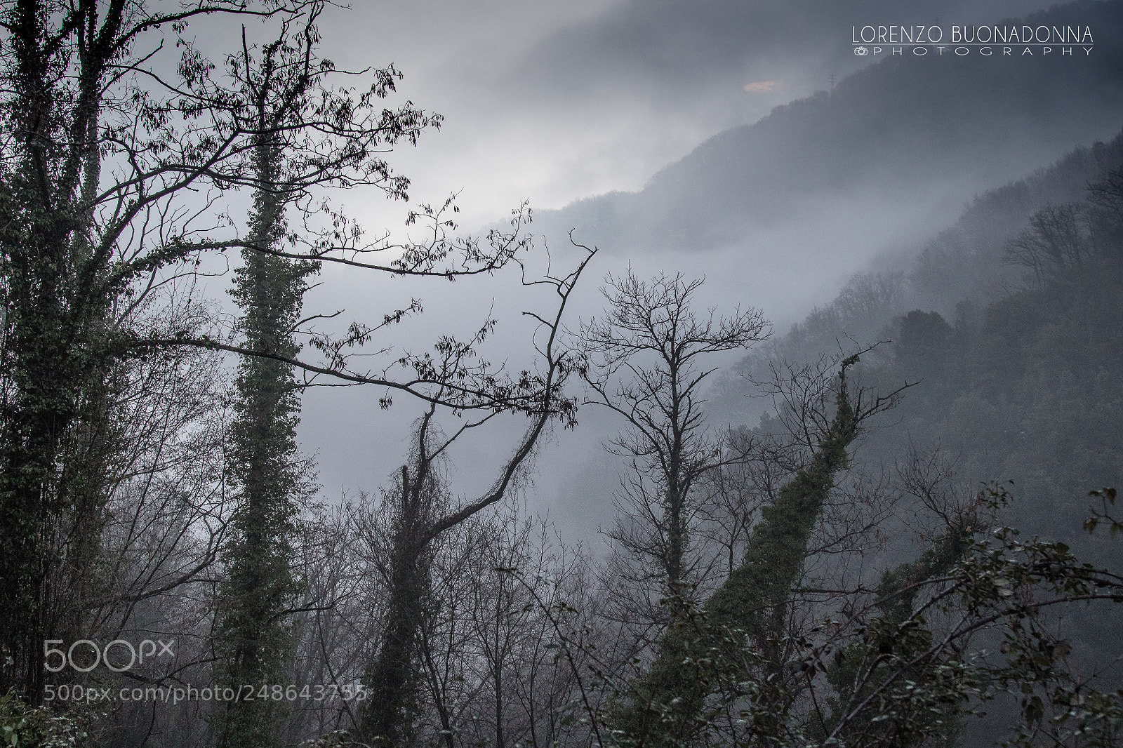 Canon EOS 7D Mark II sample photo. Winter landscape photography