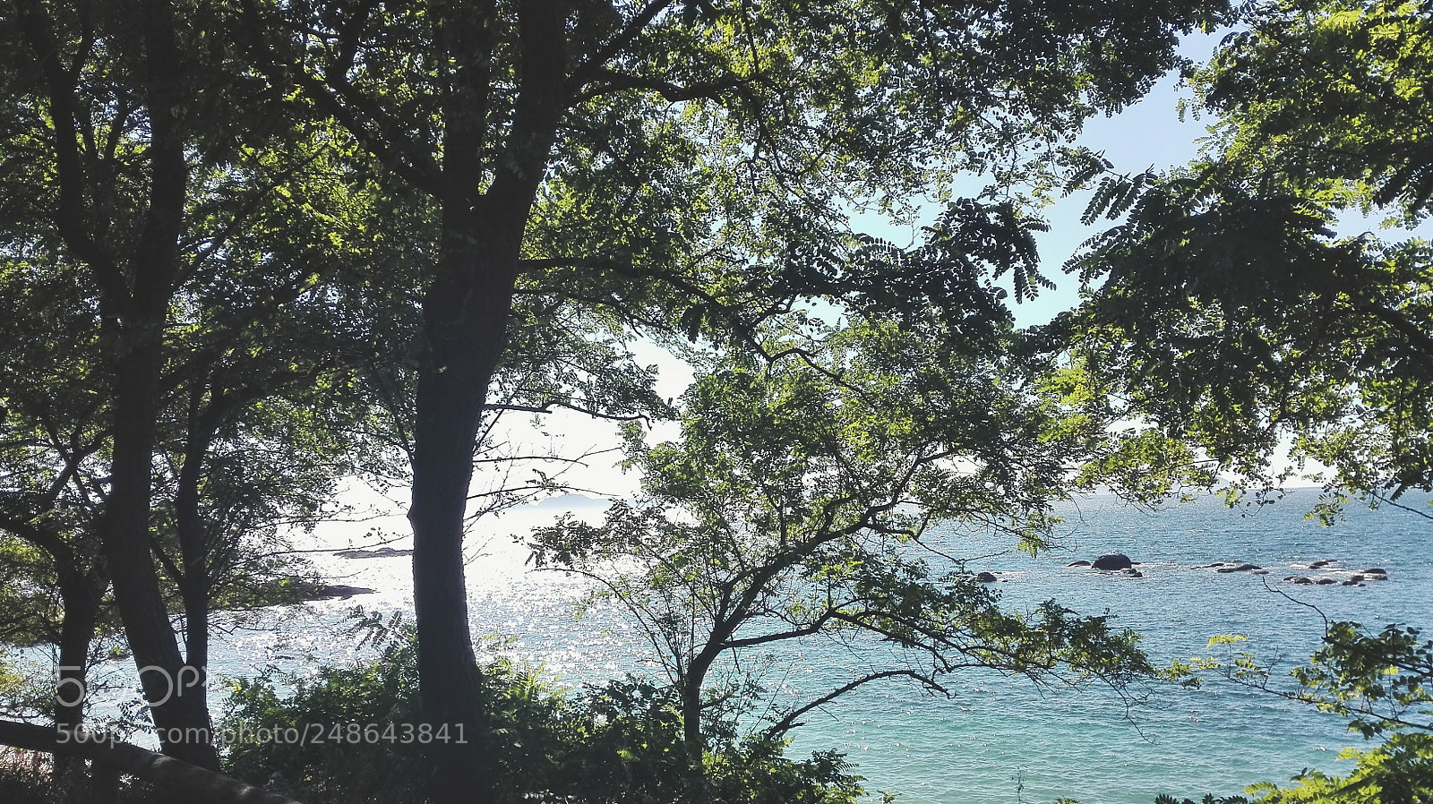 HUAWEI P8 Lite sample photo. Processed with vsco with photography
