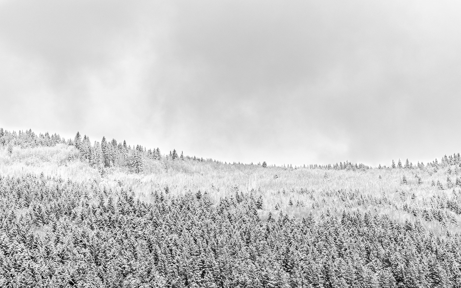 Sony a7R II sample photo. Winter mountain photography