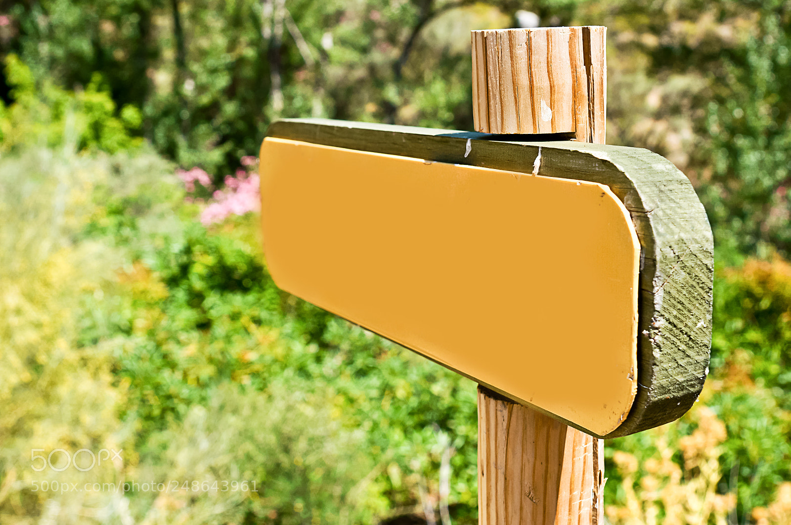Sony SLT-A57 sample photo. Yellow billboard at countryside photography