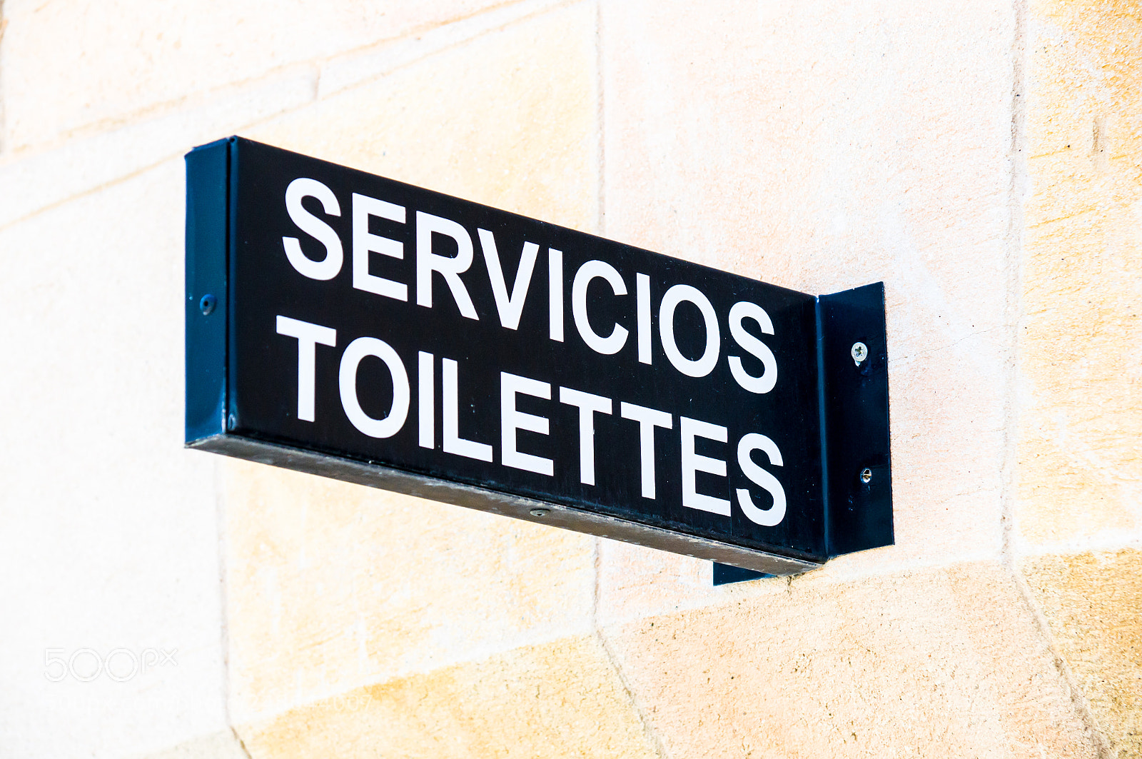 Sony SLT-A57 sample photo. Toilettes sign photography