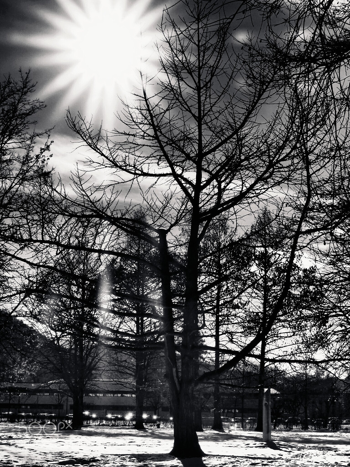 Olympus OM-D E-M1 Mark II sample photo. Untitled photography
