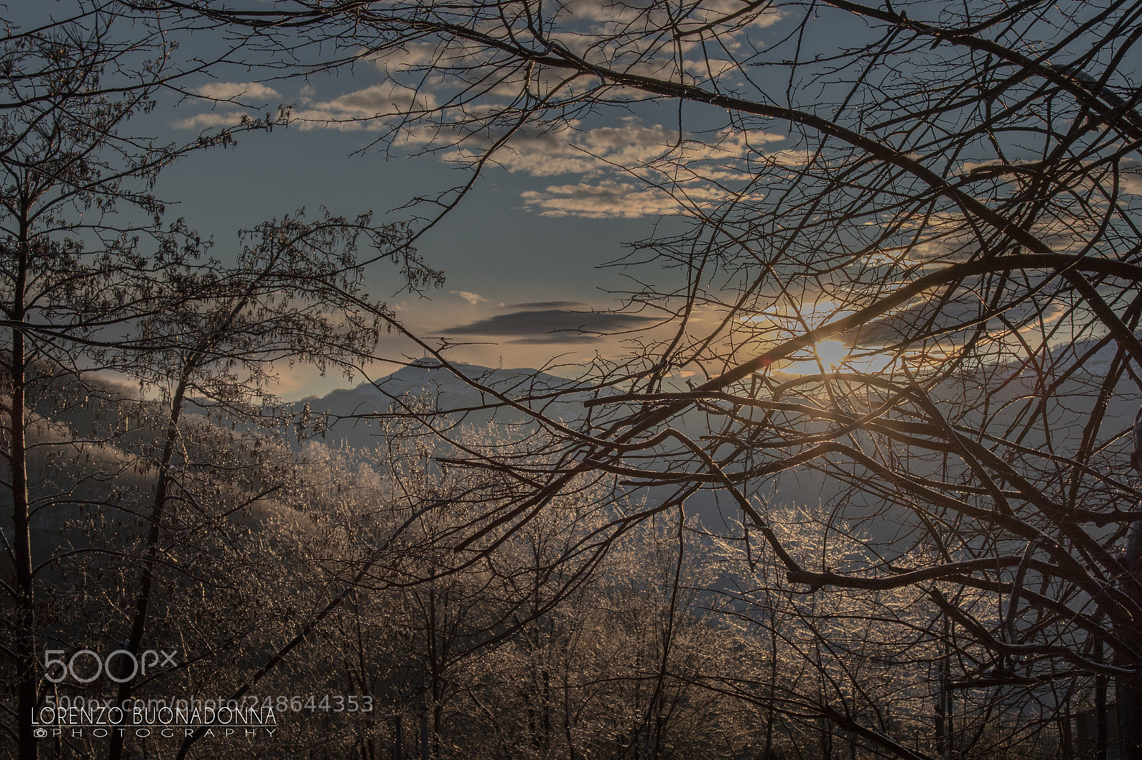 Canon EOS 7D Mark II sample photo. After the snow photography