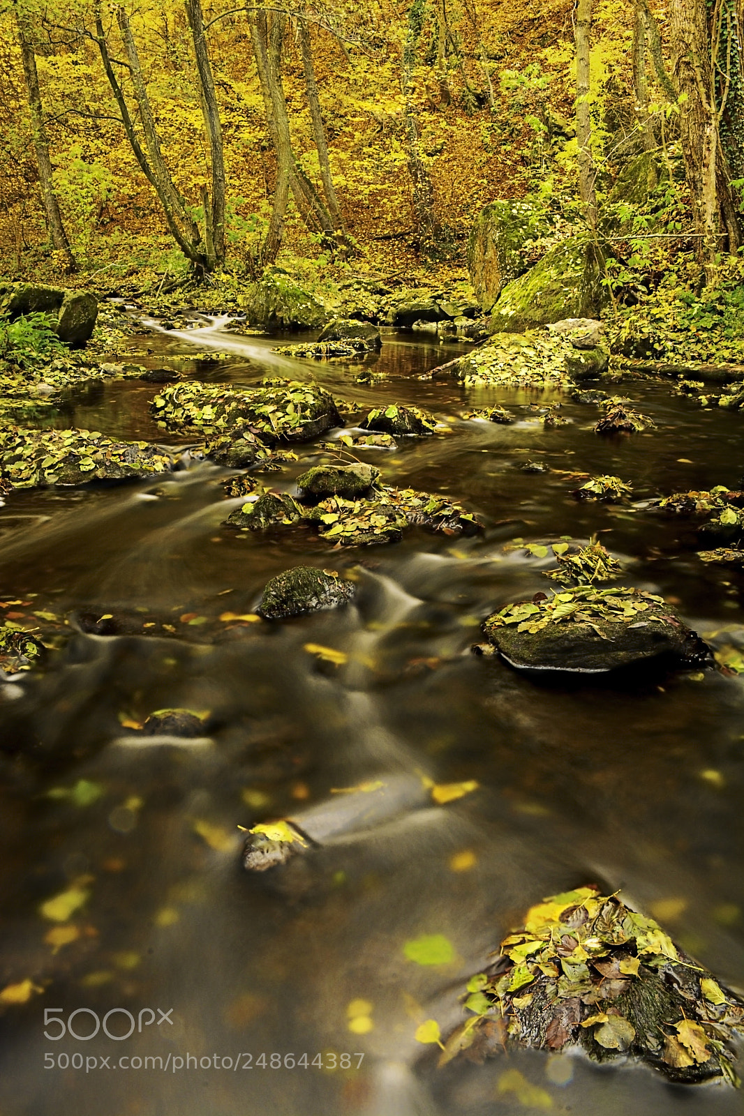 Nikon D5200 sample photo. Vladislavmitkov raboten variant photography