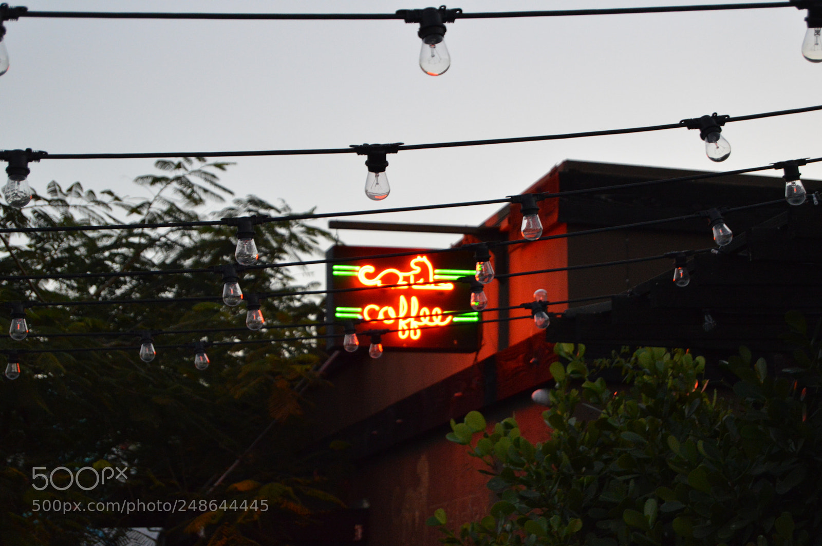Nikon D3200 sample photo. Cafe sin luz photography