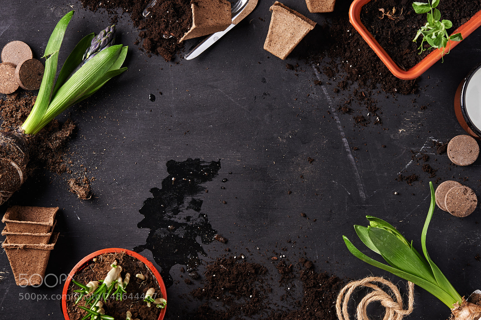 Nikon D600 sample photo. Plants and garden tools photography
