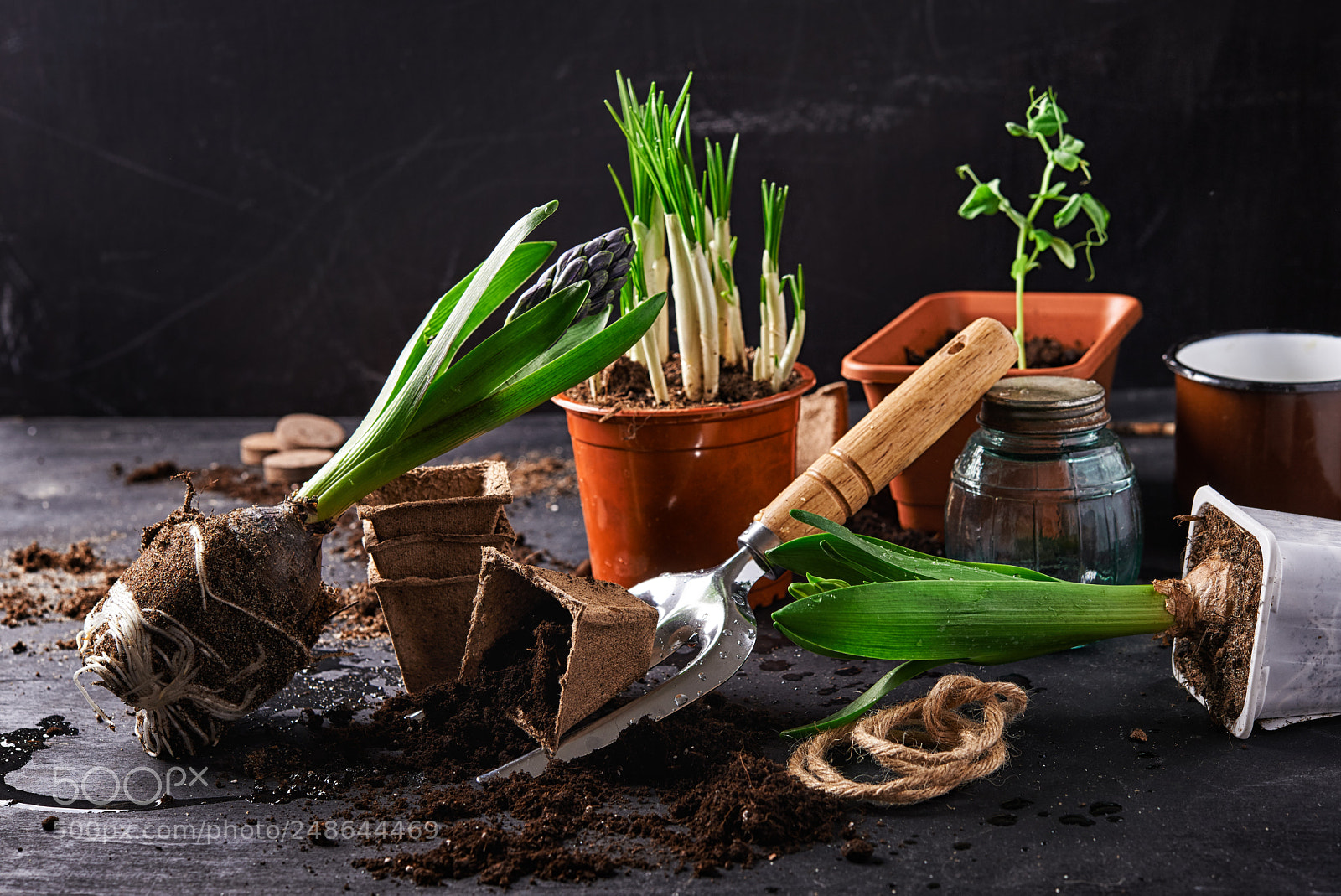 Nikon D600 sample photo. Gardening tools and plants photography