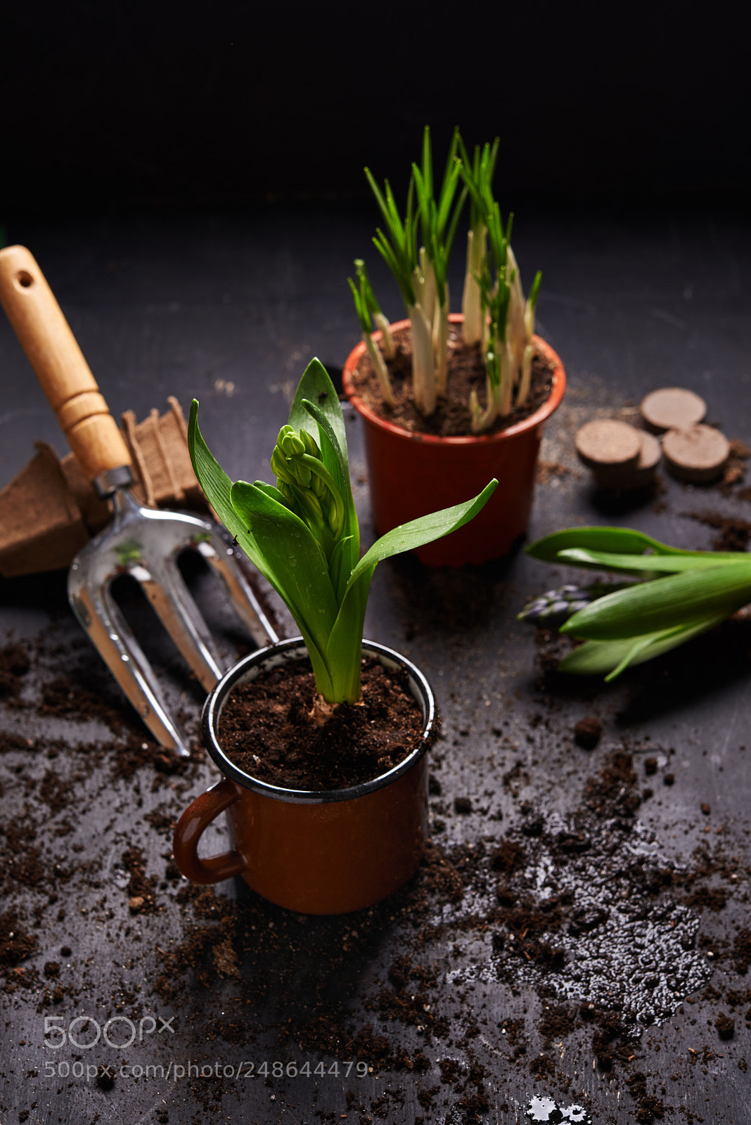 Nikon D600 sample photo. Gardening tools and plants photography