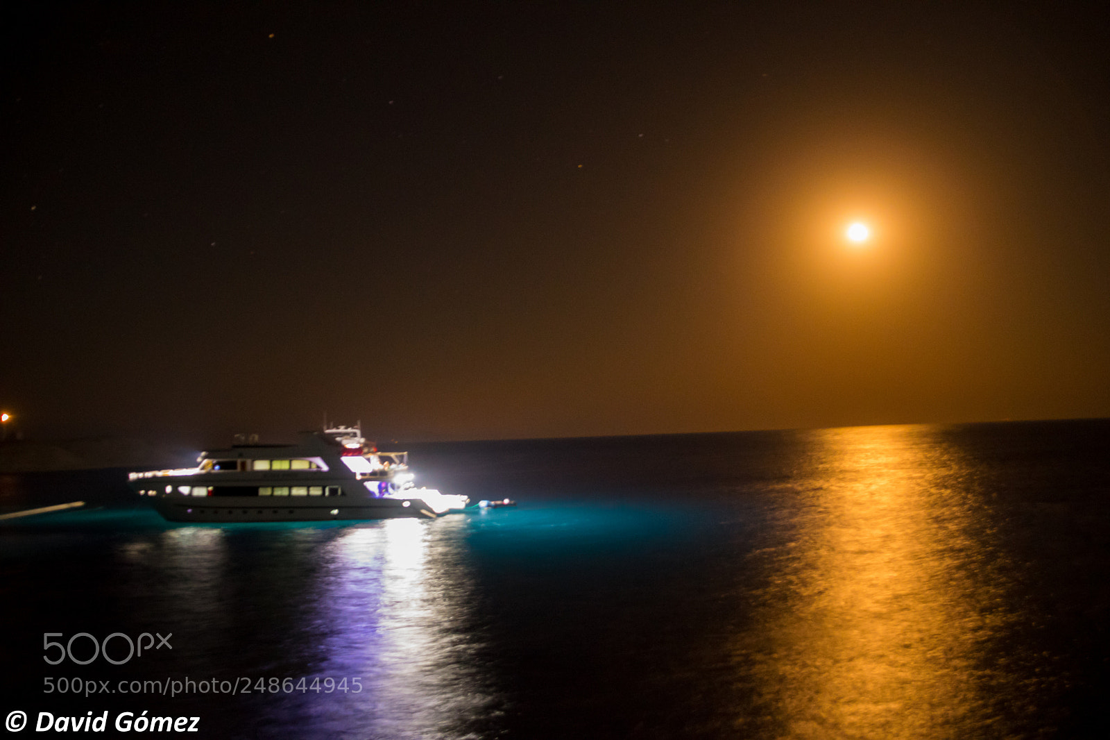 Nikon D5300 sample photo. Red sea photography