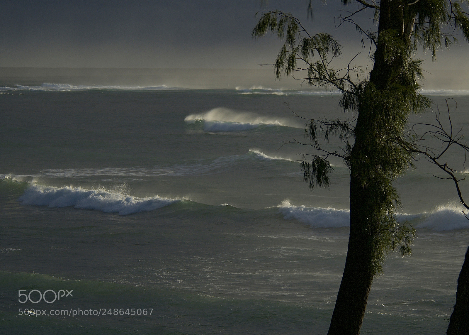 Nikon D300 sample photo. Surf's up. photography