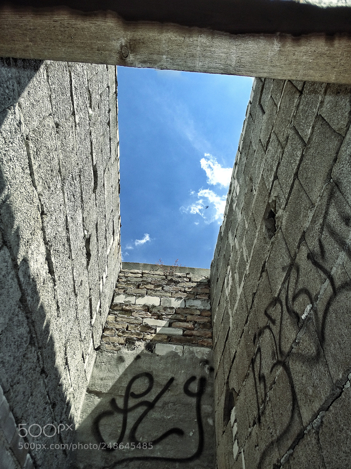 Sony Cyber-shot DSC-HX400V sample photo. Under the sky photography