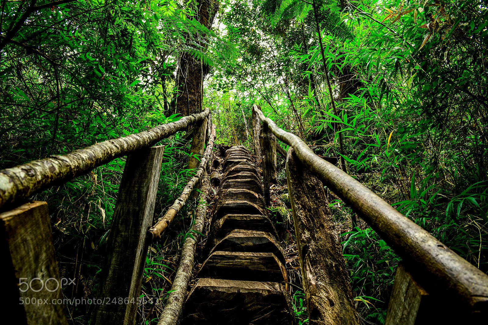 Nikon D3200 sample photo. Wodden stairs photography