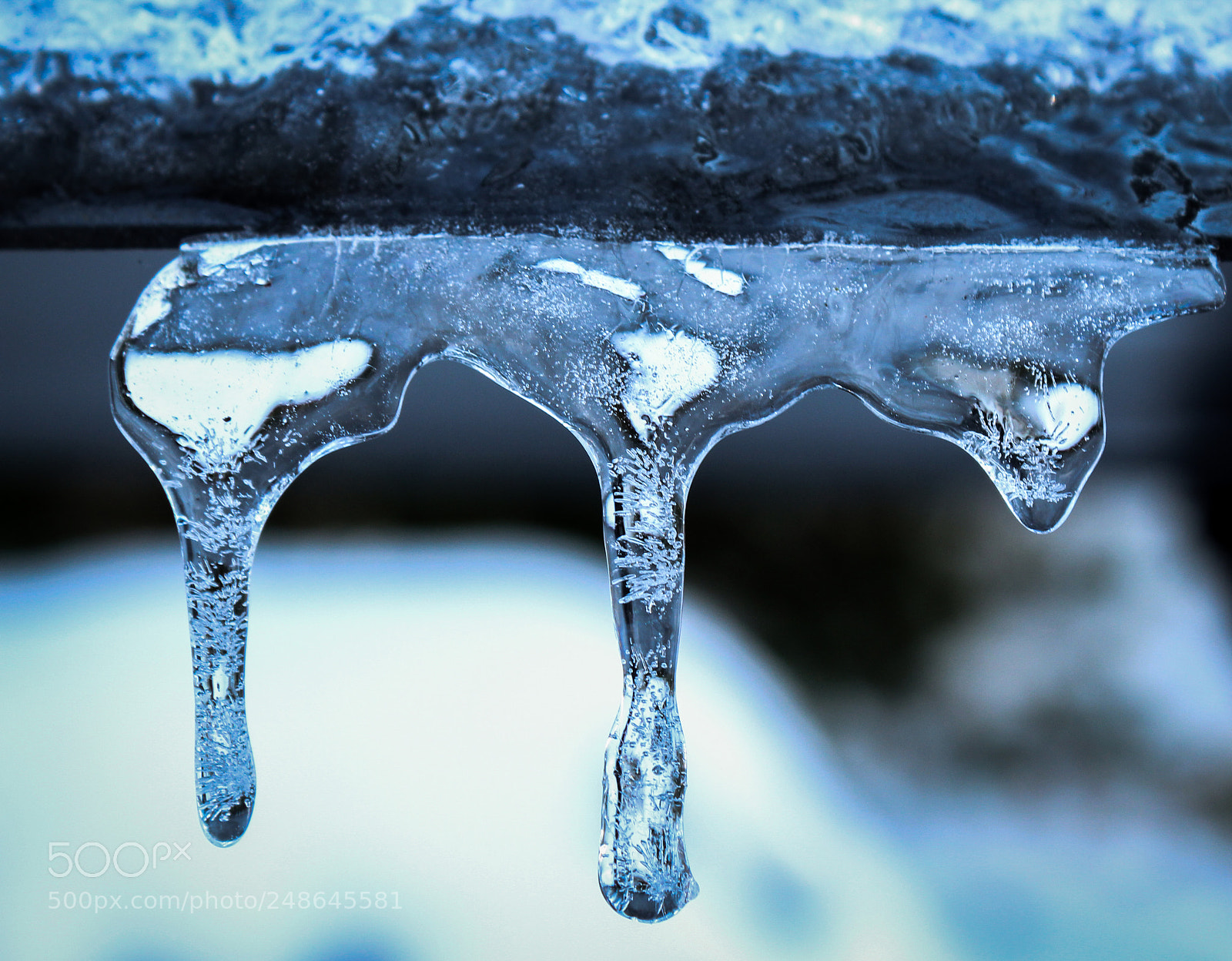 Canon EOS 1300D (EOS Rebel T6 / EOS Kiss X80) sample photo. Ice photography