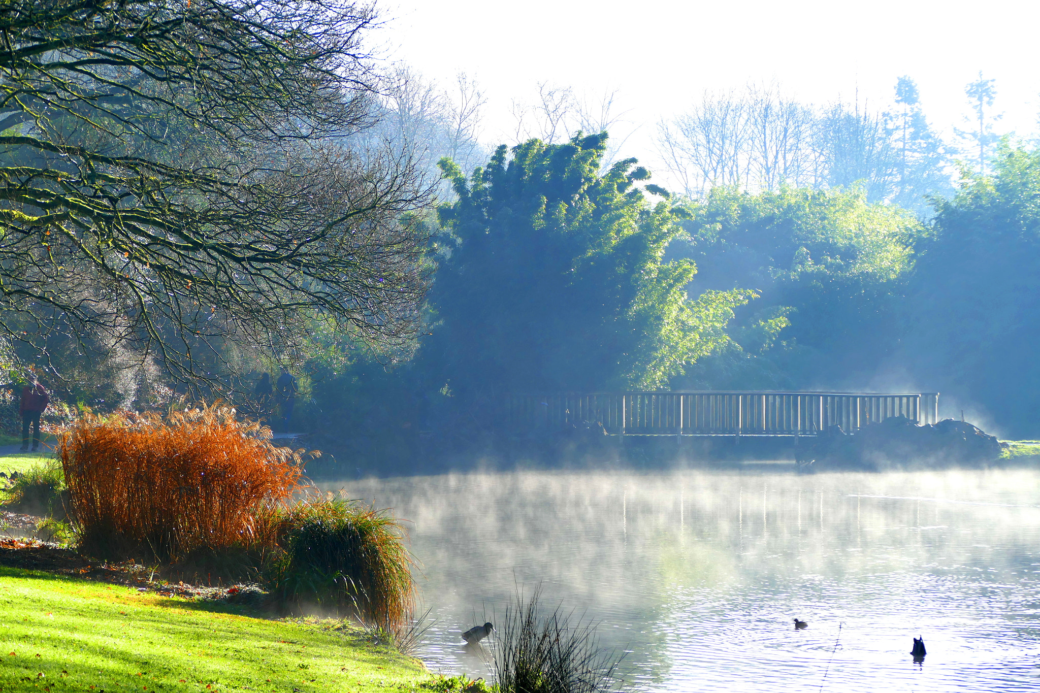 Panasonic PHOTOfunSTUDIO 9.5 PE sample photo