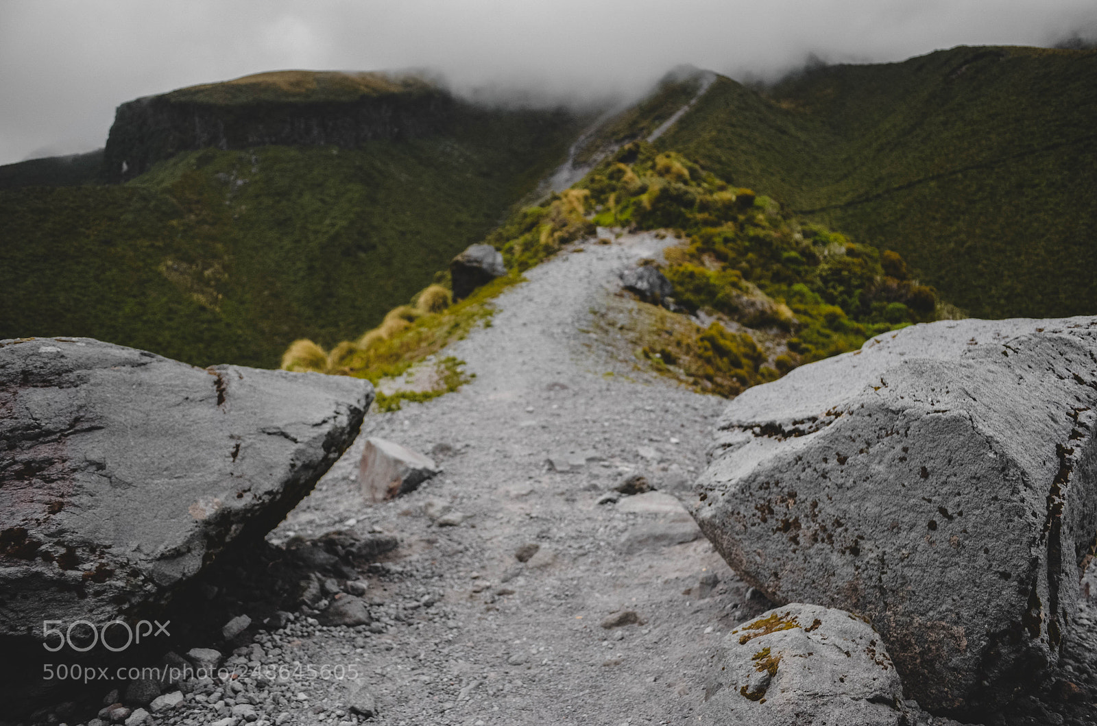 Nikon D5100 sample photo. Path. photography