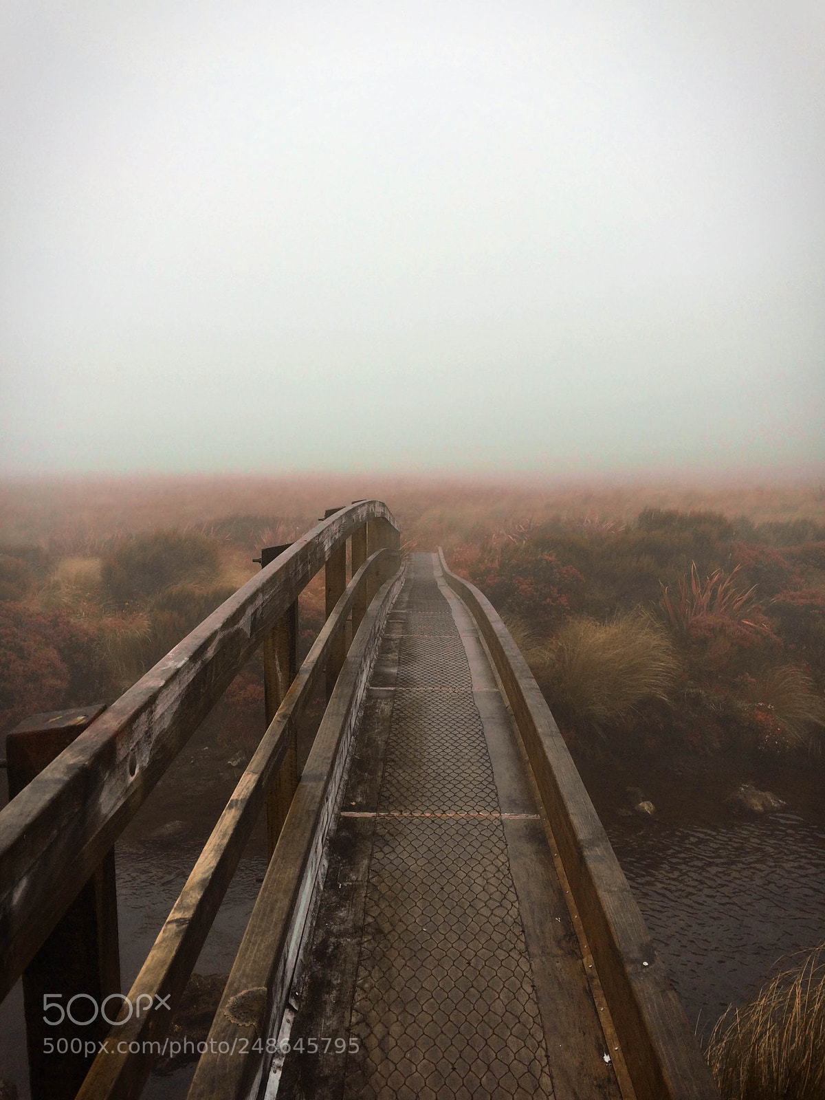 Apple iPhone 5s sample photo. Taranaki falls. photography
