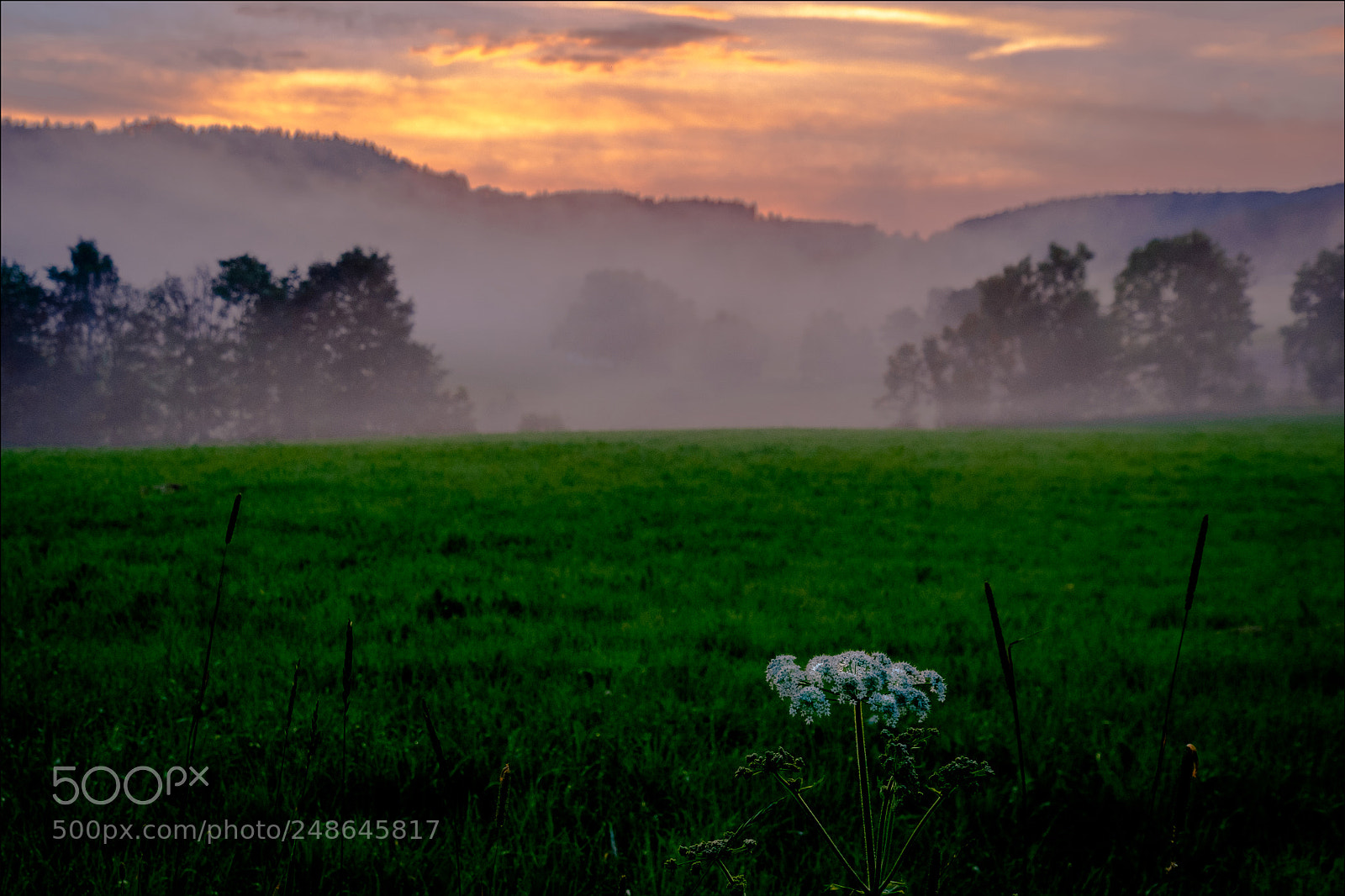 Fujifilm X-T1 sample photo. Evening mist v photography