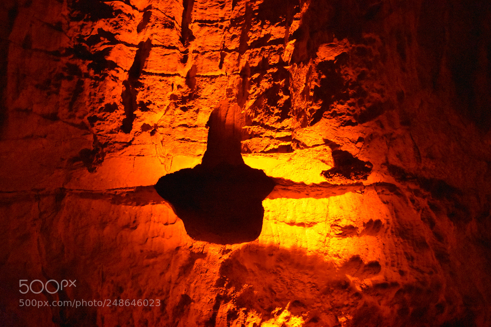 Nikon D3400 sample photo. Mammoth caves photography