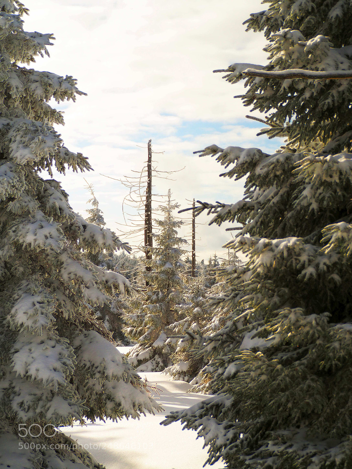 Olympus OM-D E-M10 sample photo. Winter inside photography