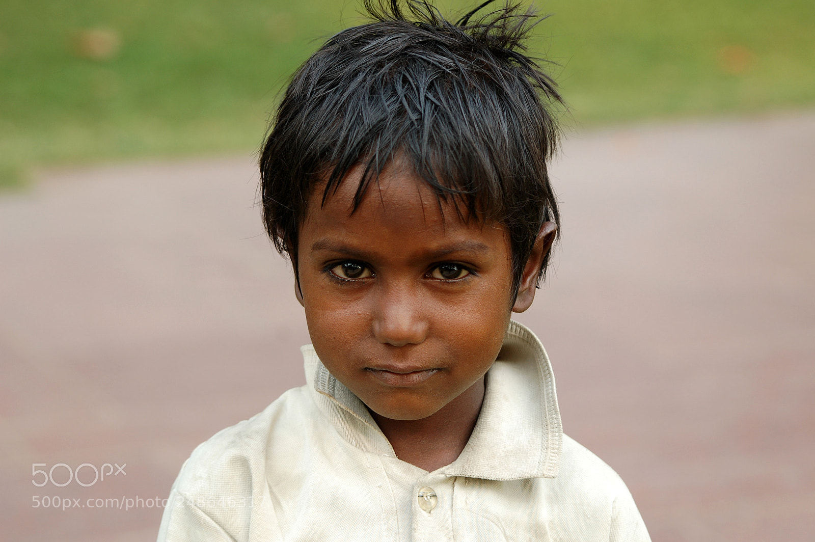 Nikon D50 sample photo. Copy photography