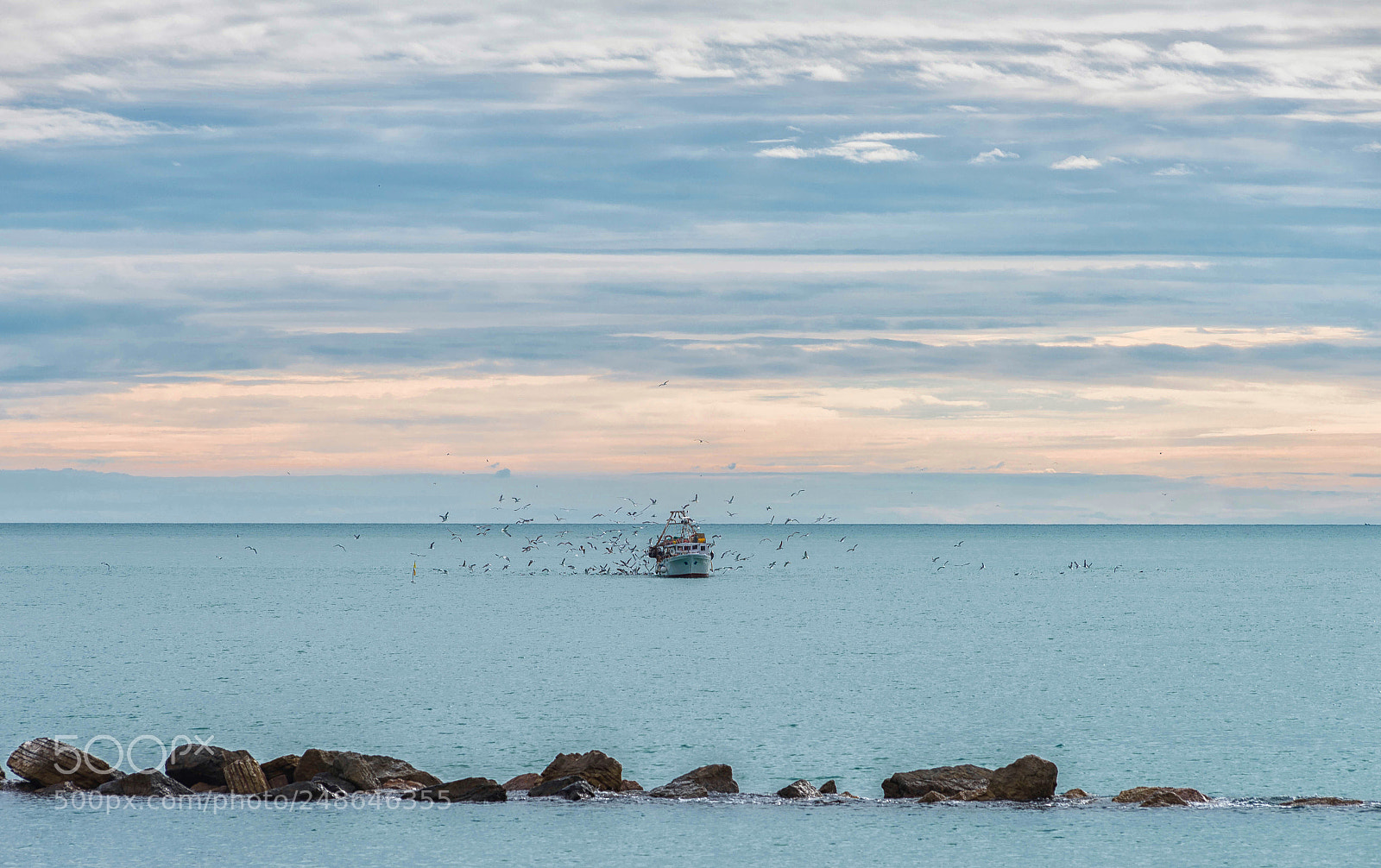 Nikon D610 sample photo. Comitato di accoglienza.. photography