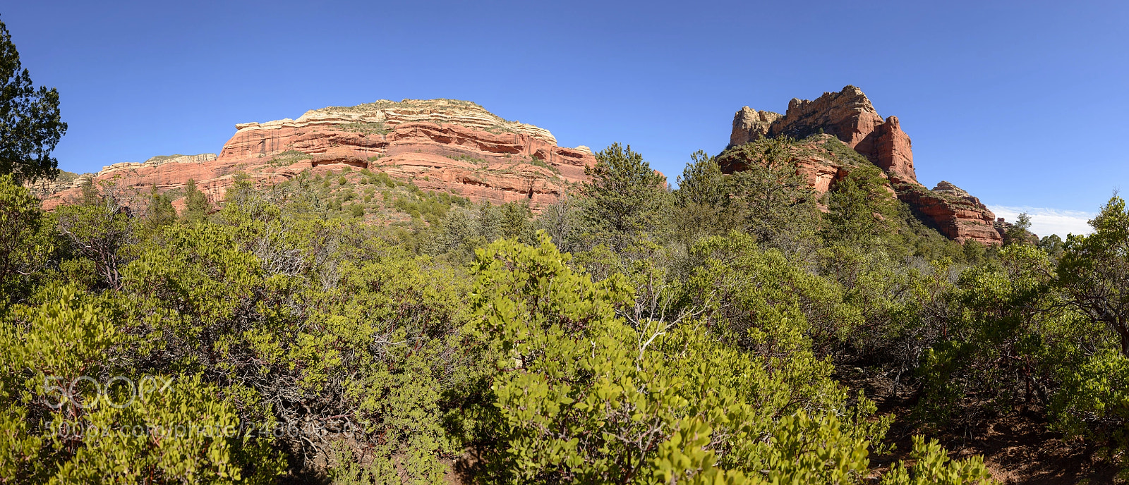 Nikon D800 sample photo. Boynton canyon trail panorama photography