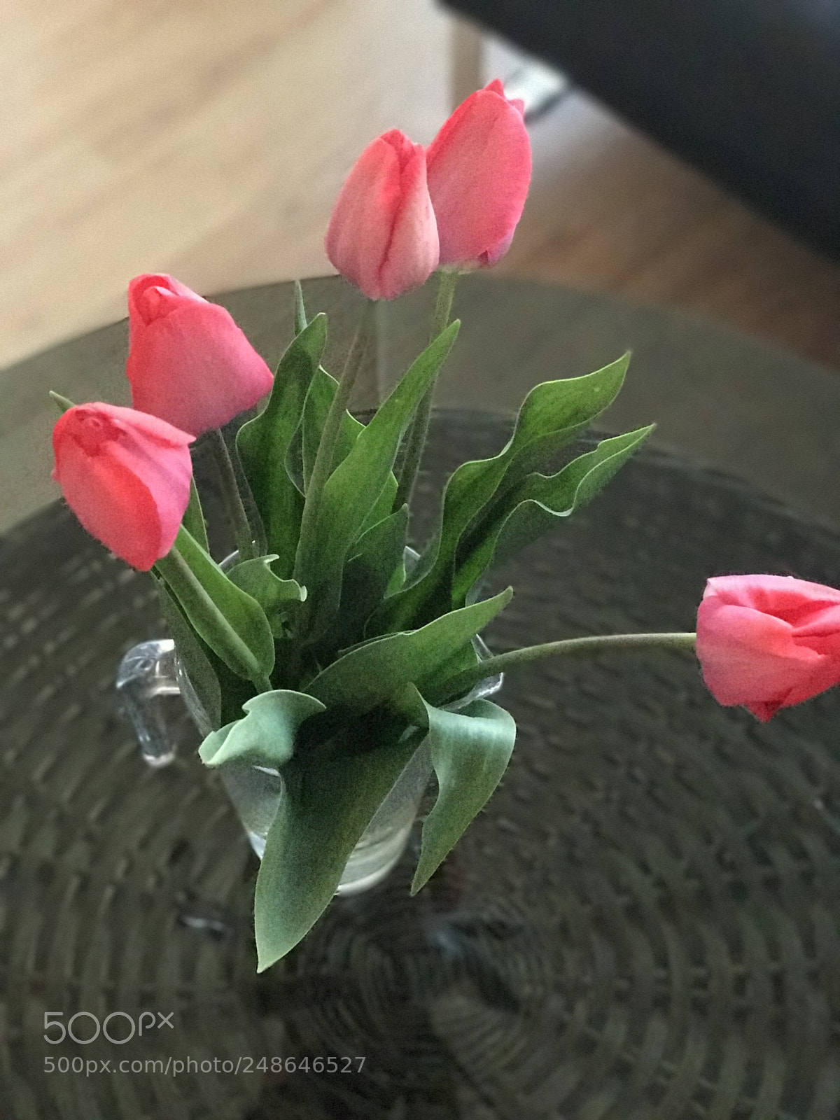 Apple iPhone 7 Plus sample photo. Untitled photography