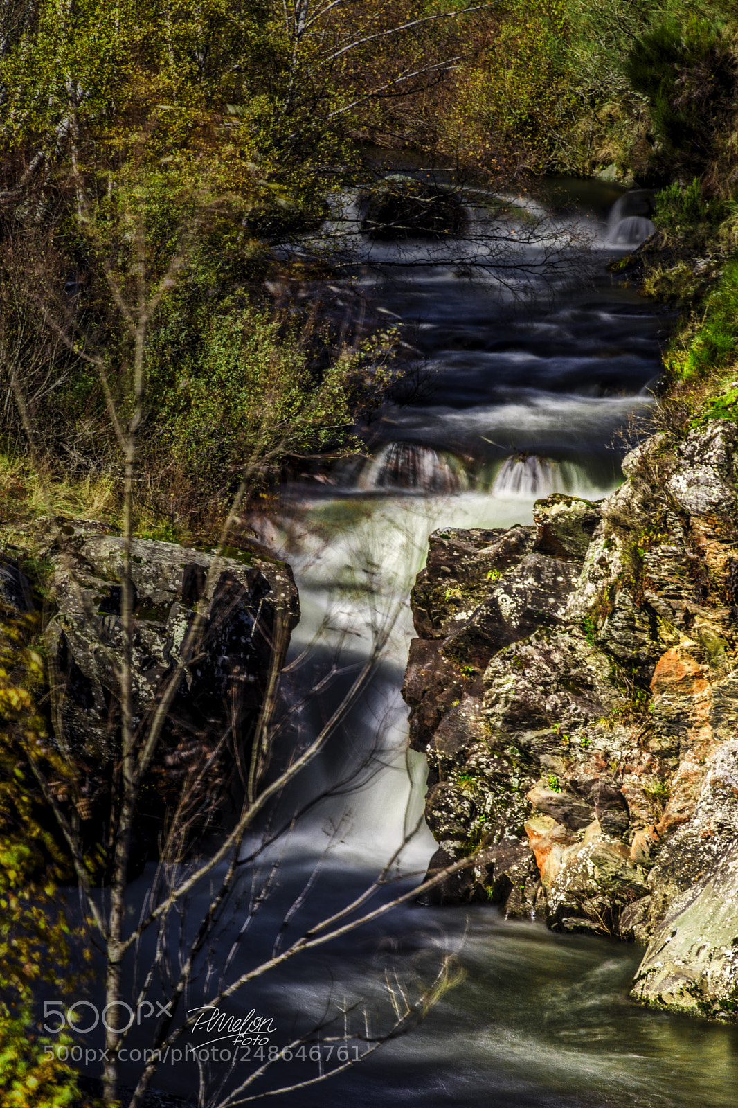 Sony SLT-A68 sample photo. Cerulleda photography