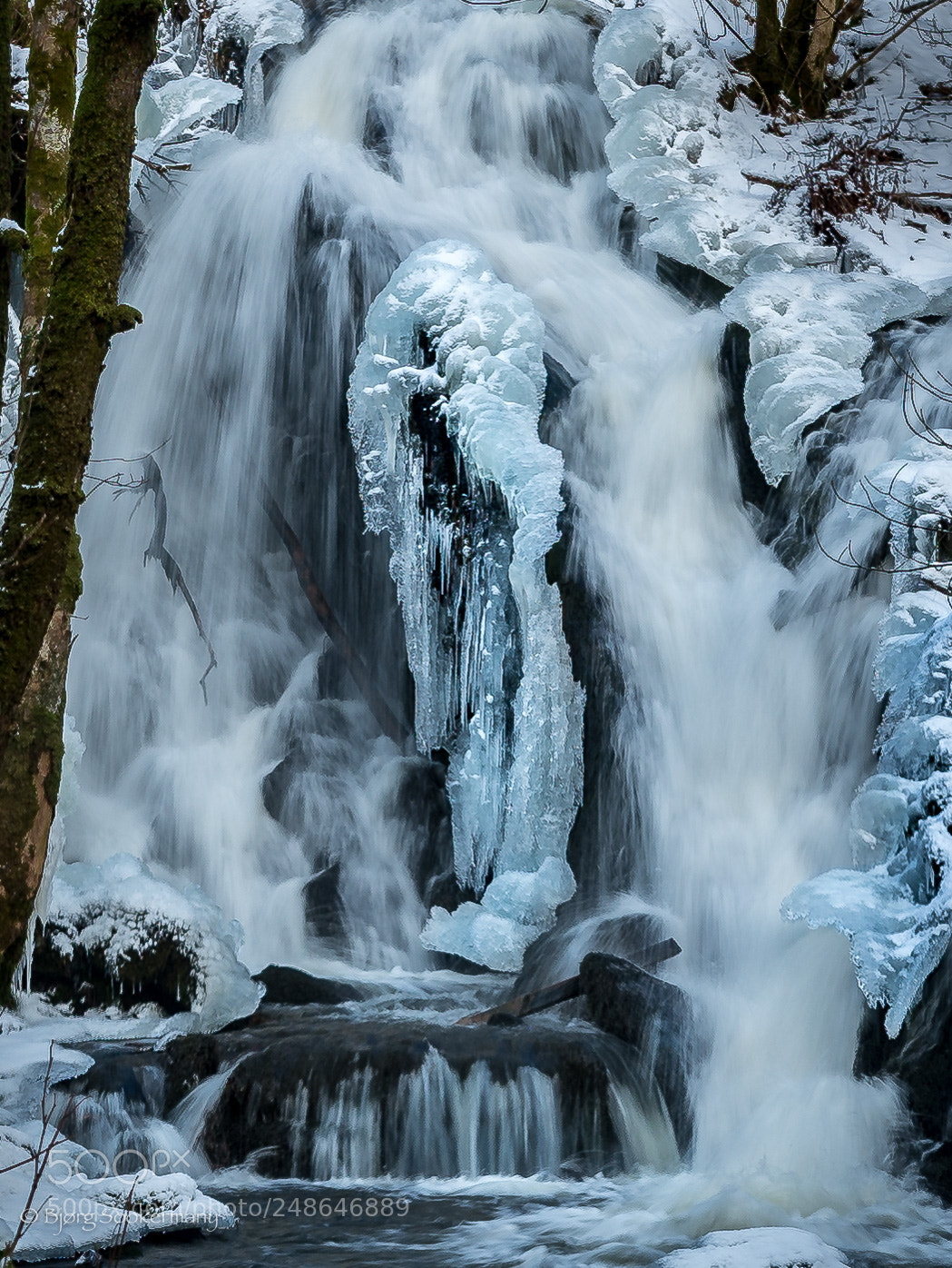 Nikon D600 sample photo. Winter magic photography