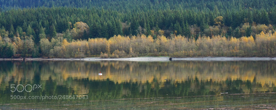 Sony a6000 sample photo. The reflections photography