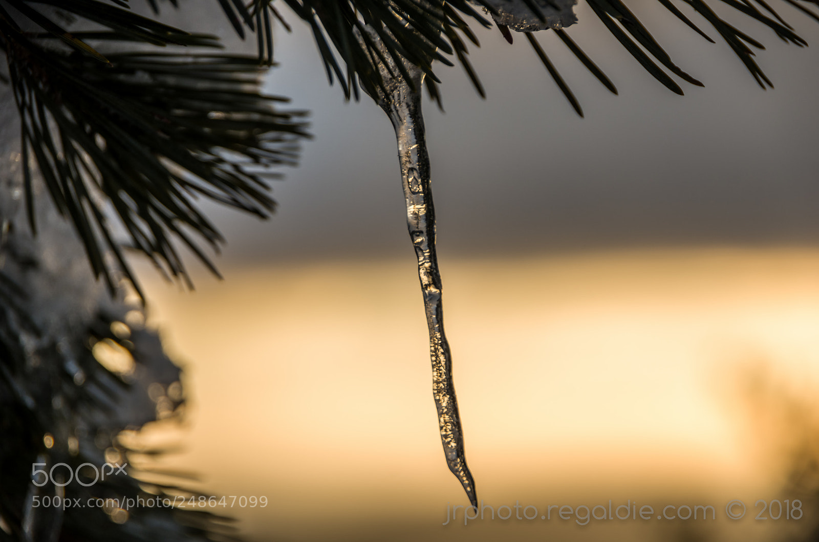 Pentax K-5 sample photo. Icicle photography
