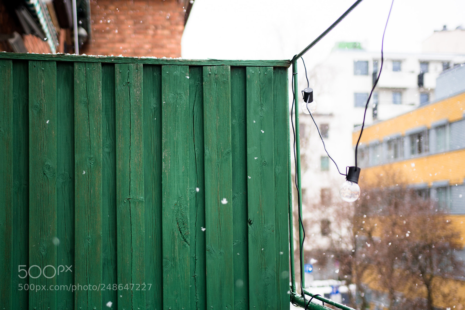 Nikon D500 sample photo. Pop of color photography