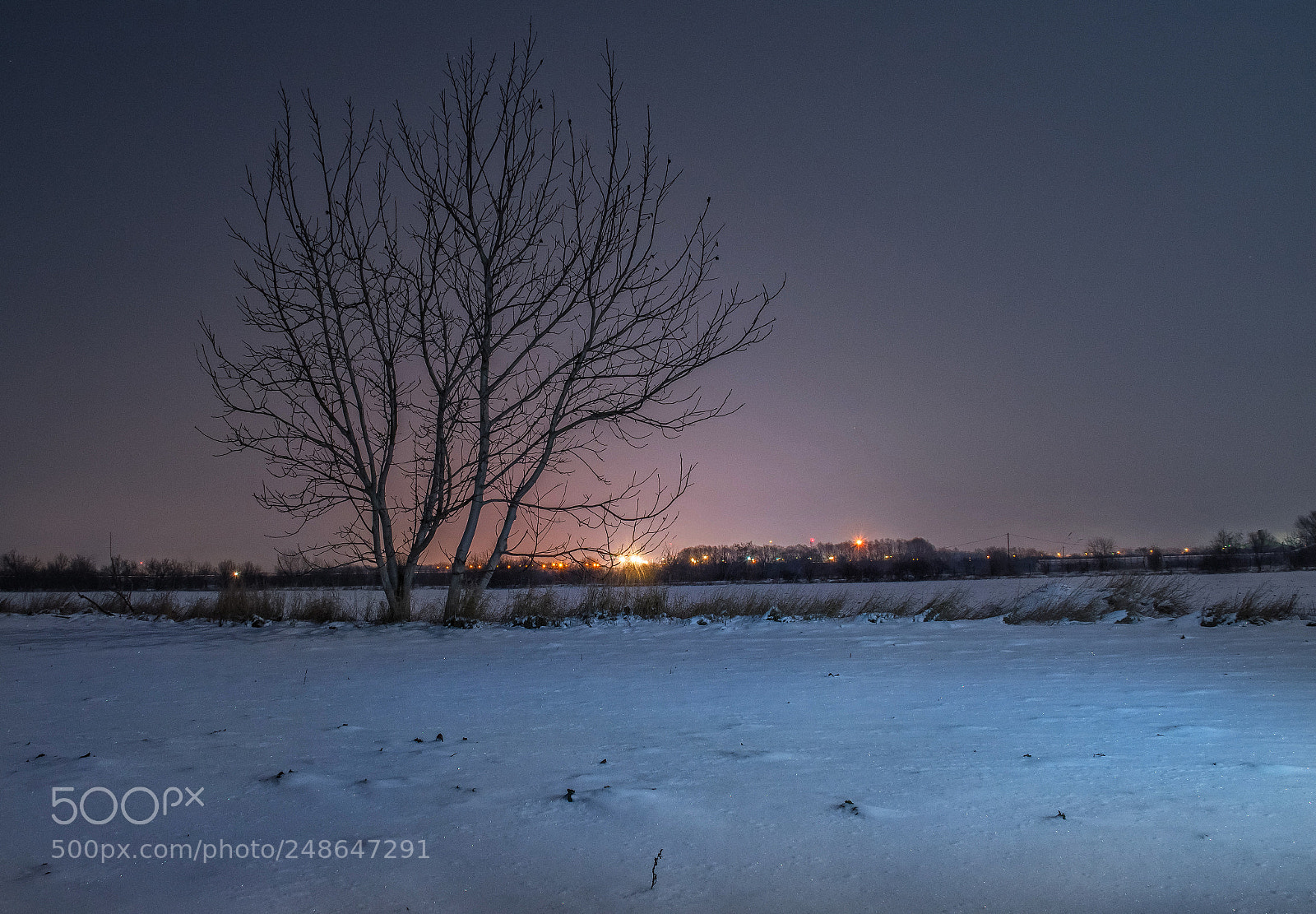 Nikon D5600 sample photo. Winter lights photography
